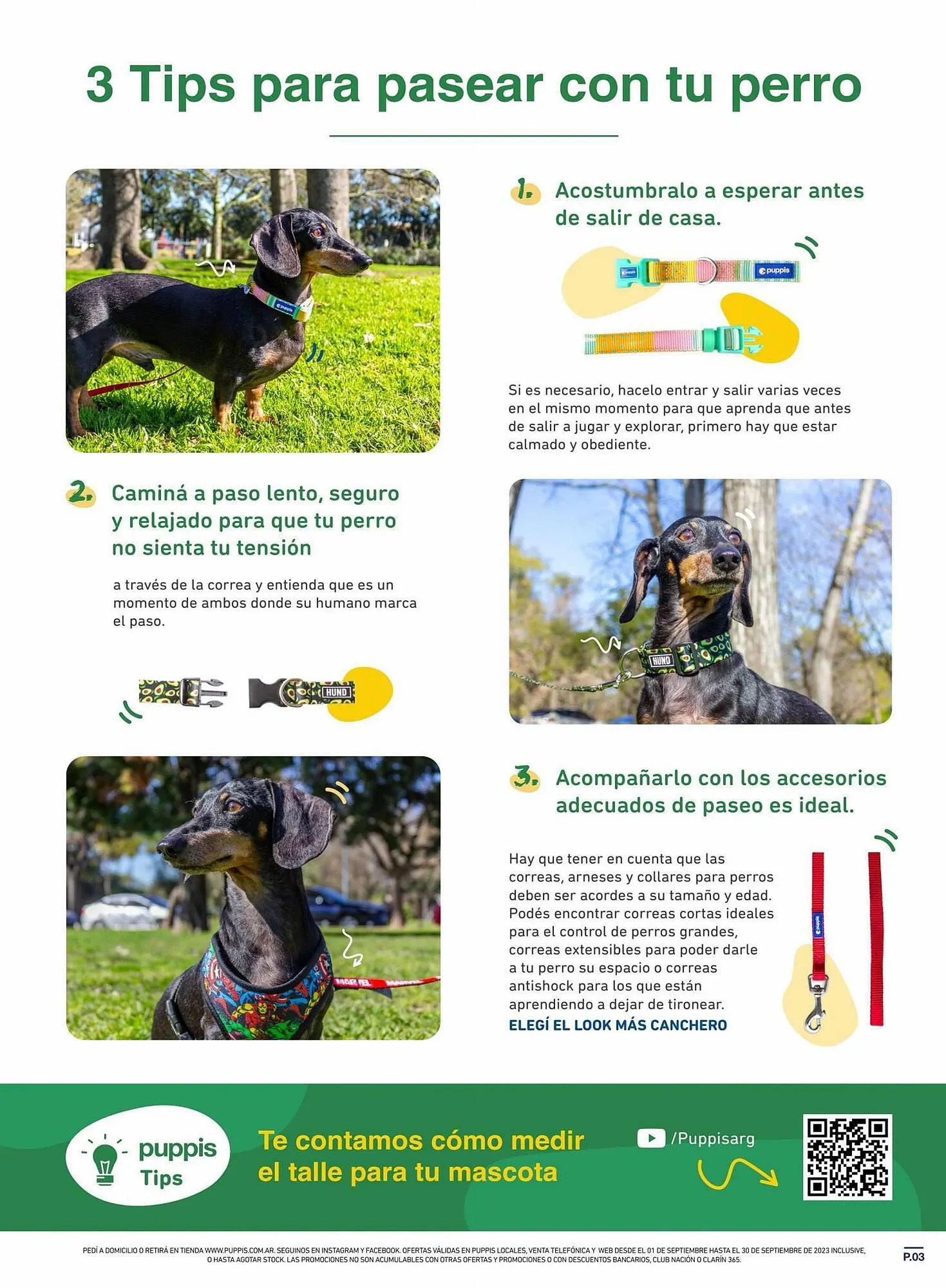 Ofertas de Catálogo Puppis 15 de septiembre al 30 de septiembre 2023 - Página 3 del catálogo