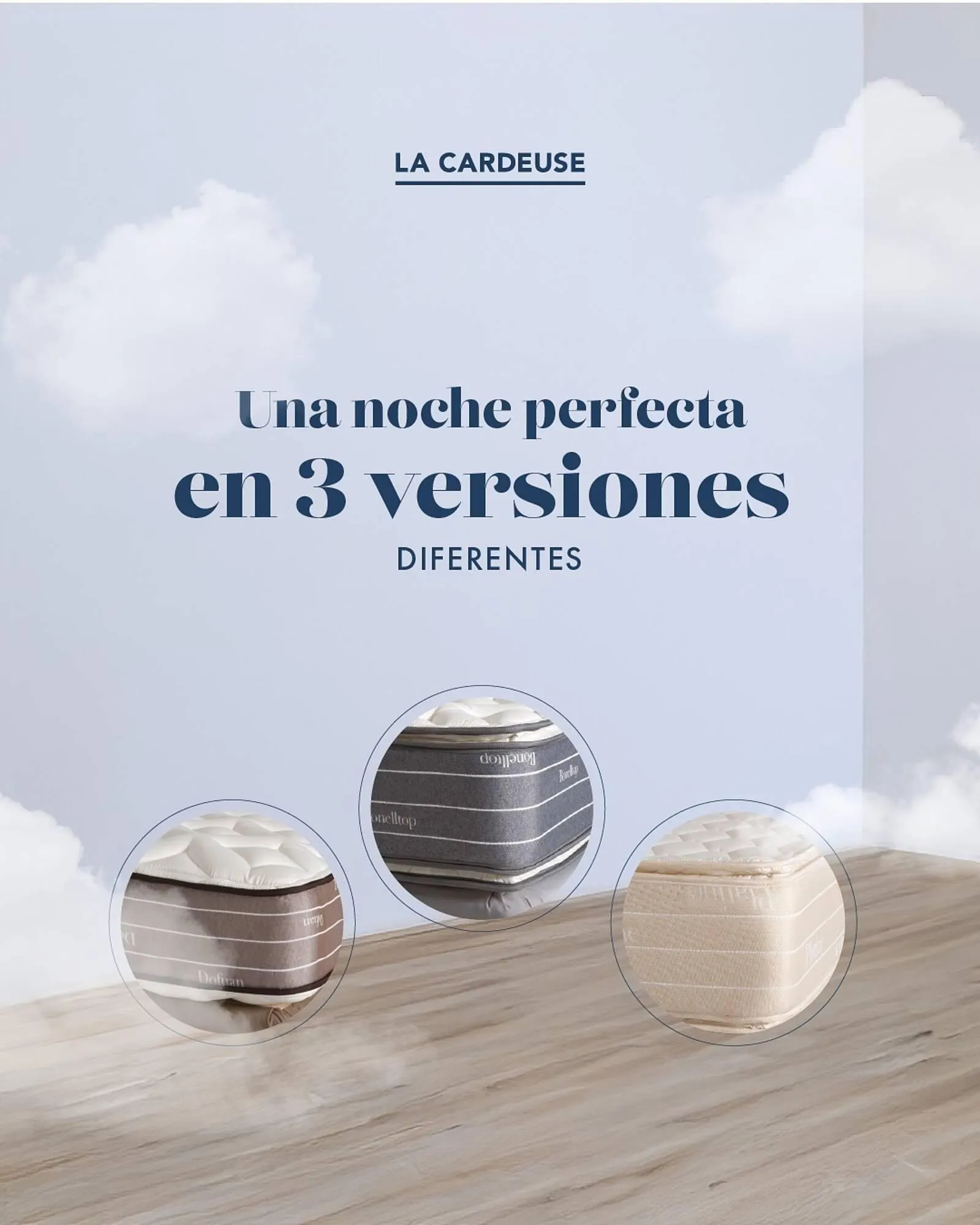 Catálogo La Cardeuse - 1