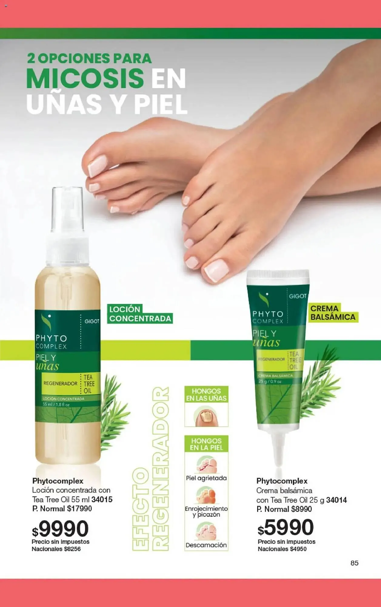 Ofertas de Folleto Gigot 1 de febrero al 1 de marzo 2026 - Página 89 del catálogo