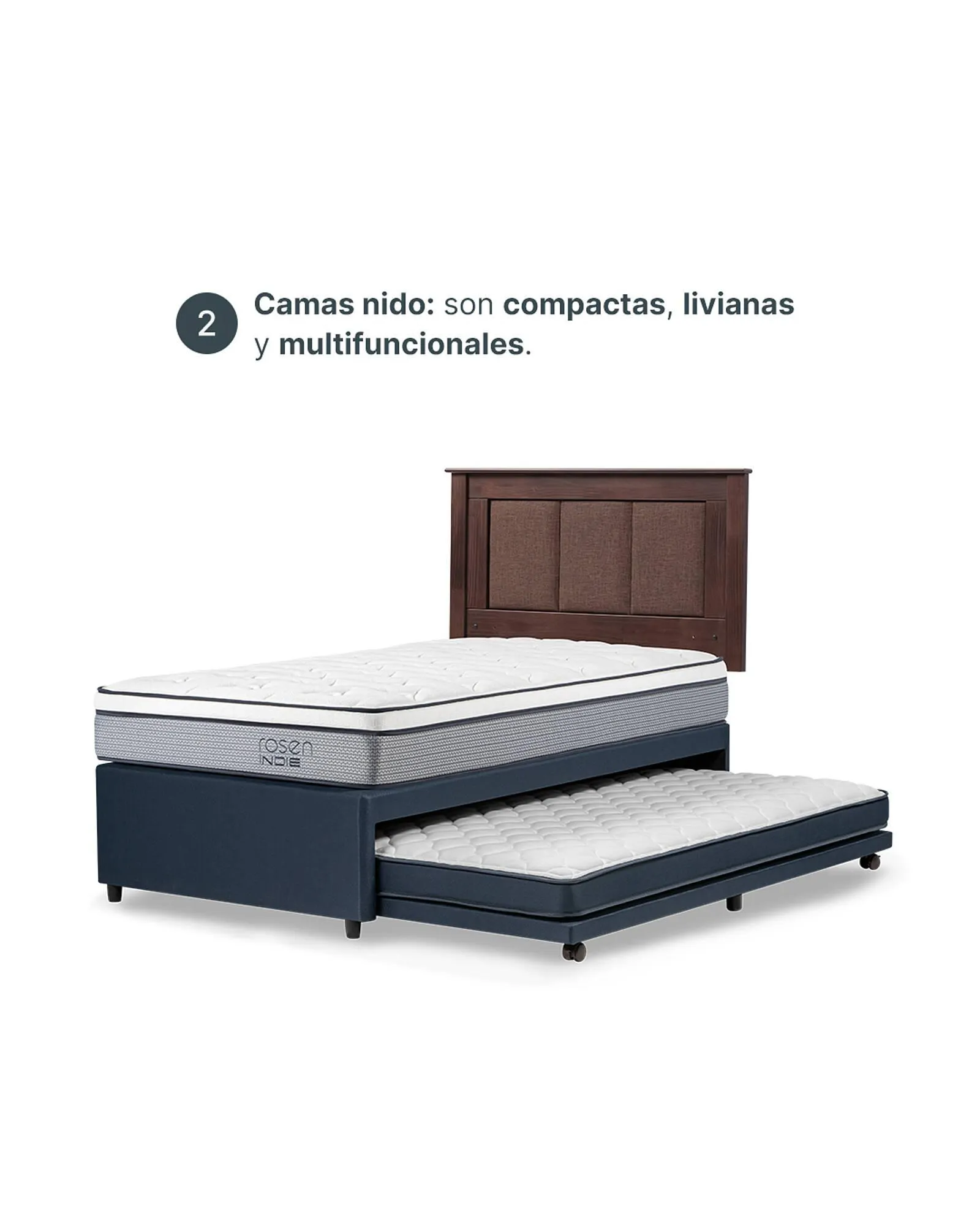 Ofertas de Catálogo Rosen 14 de abril al 30 de abril 2025 - Página 3 del catálogo