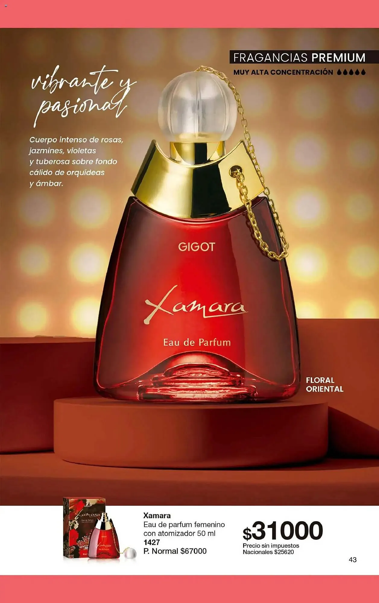 Ofertas de Folleto Gigot 1 de abril al 1 de mayo 2026 - Página 69 del catálogo