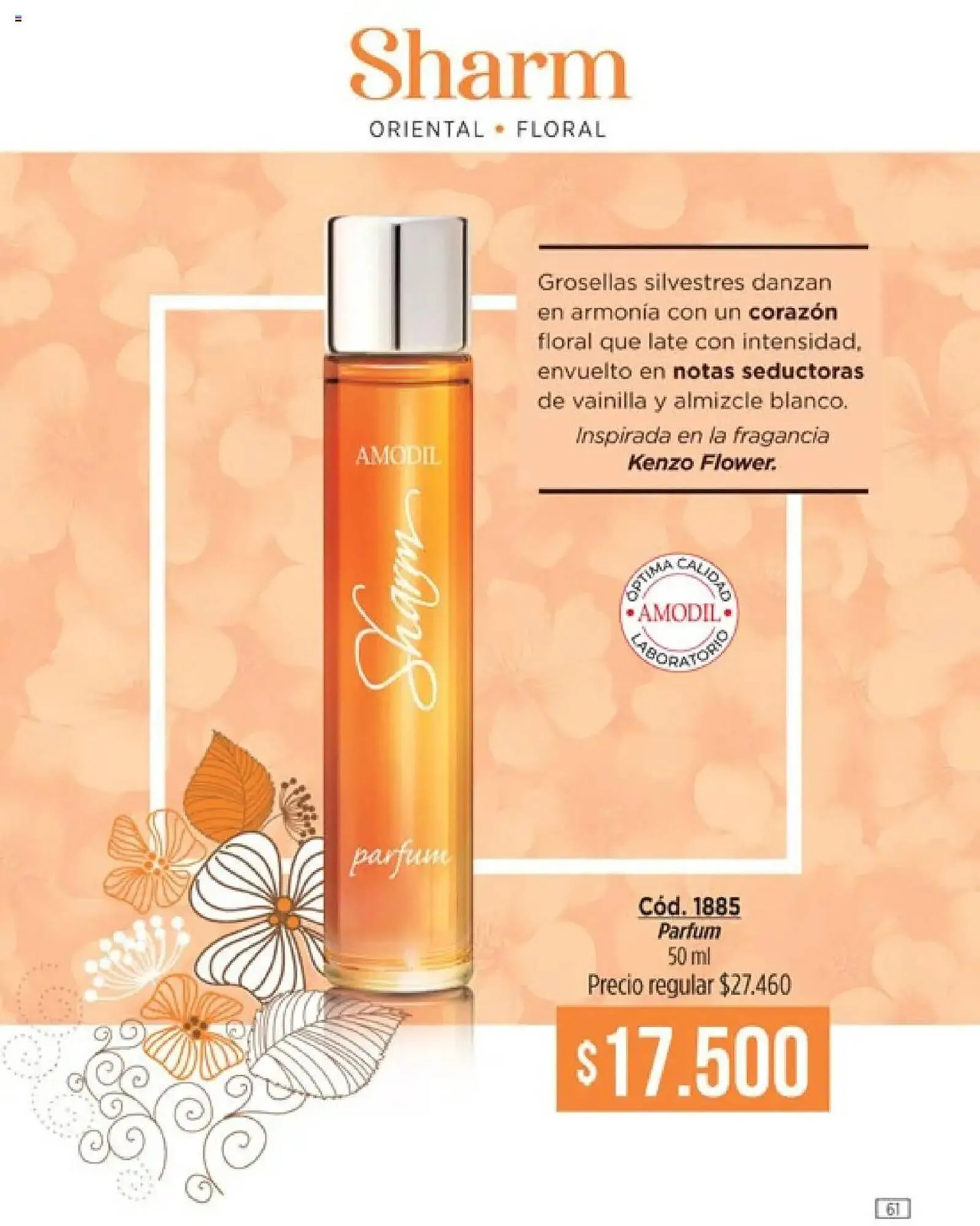 Ofertas de Catálogo Amodil 3 de mayo al 18 de mayo 2025 - Página 61 del catálogo