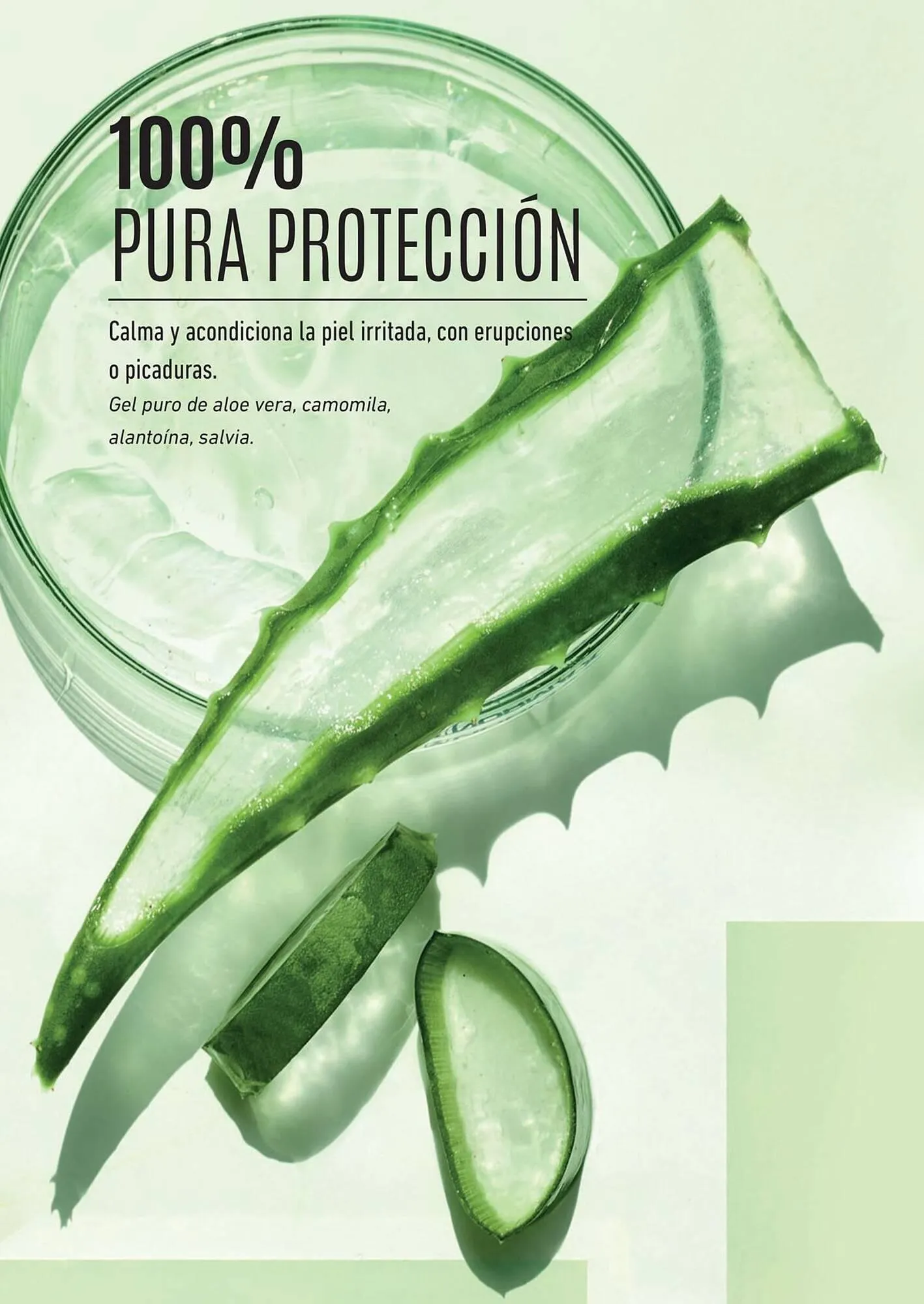 Ofertas de Catálogo Reino Cosmética 8 de mayo al 31 de mayo 2025 - Página 92 del catálogo