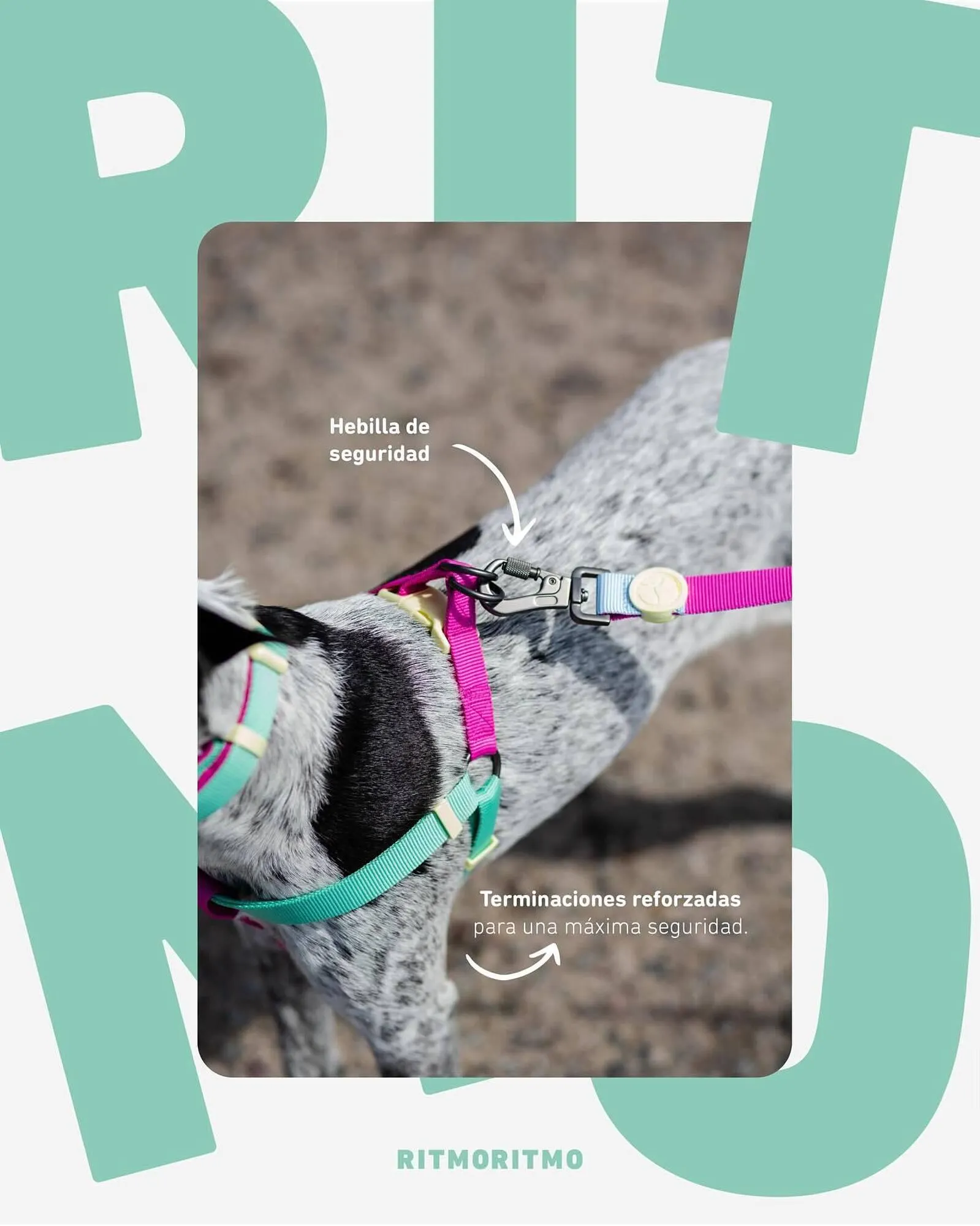 Ofertas de Catálogo Puppis 3 de diciembre al 9 de diciembre 2025 - Página 2 del catálogo