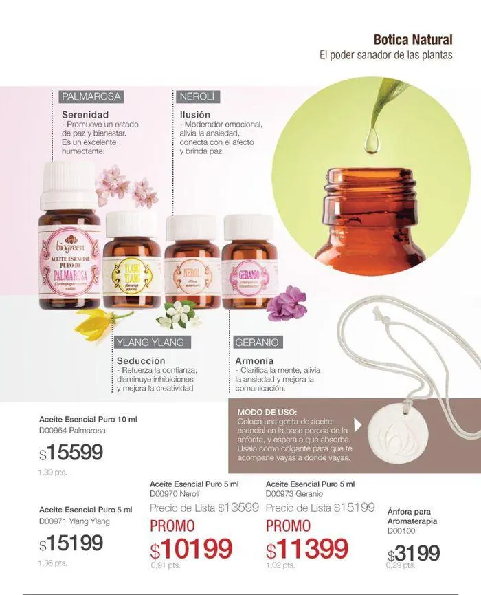 Ofertas de Catálogo de productos Biogreen! 27 de agosto al 11 de septiembre 2024 - Página 43 del catálogo