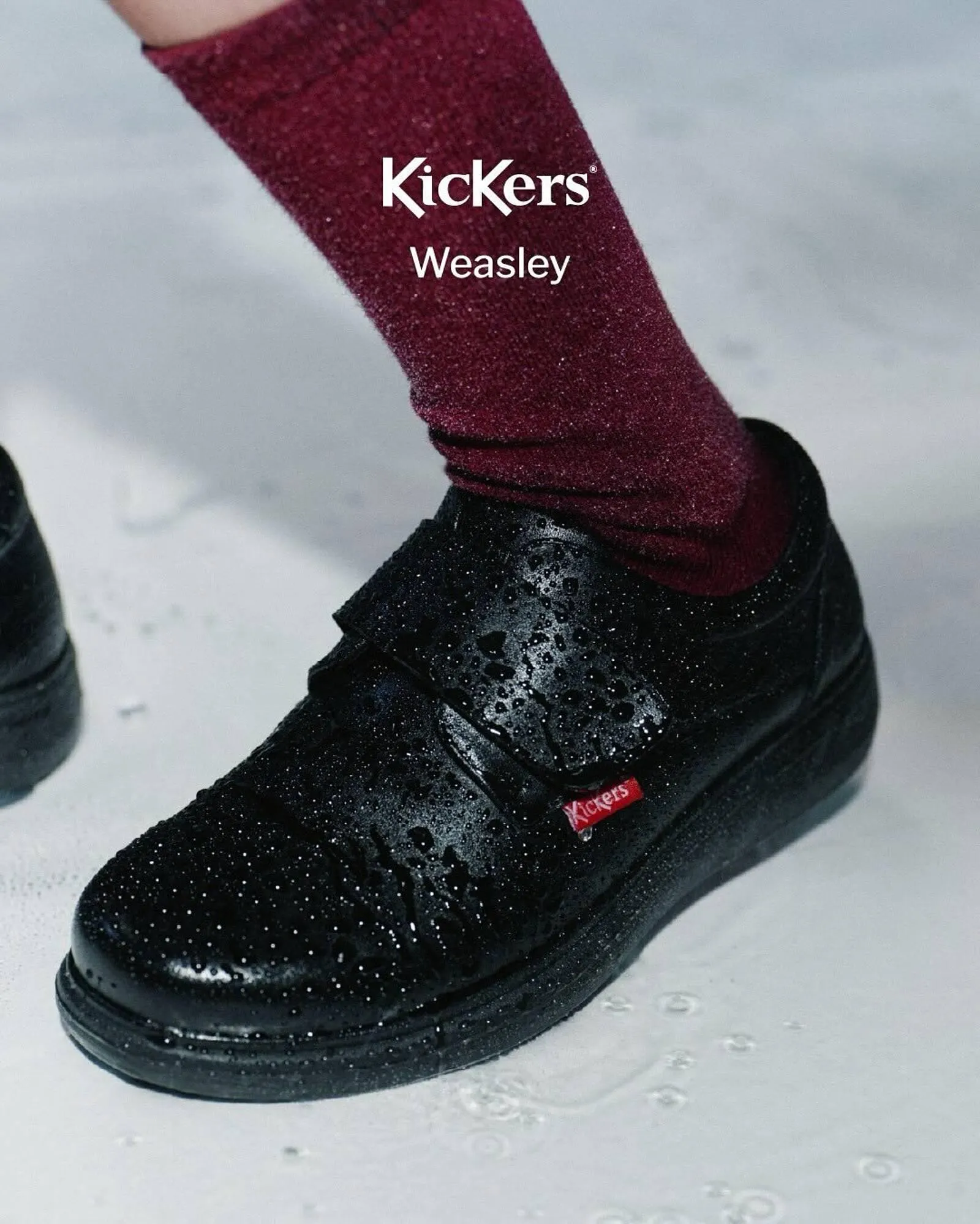 Ofertas de Catálogo Grimoldi 19 de febrero al 28 de febrero 2026 - Página 2 del catálogo