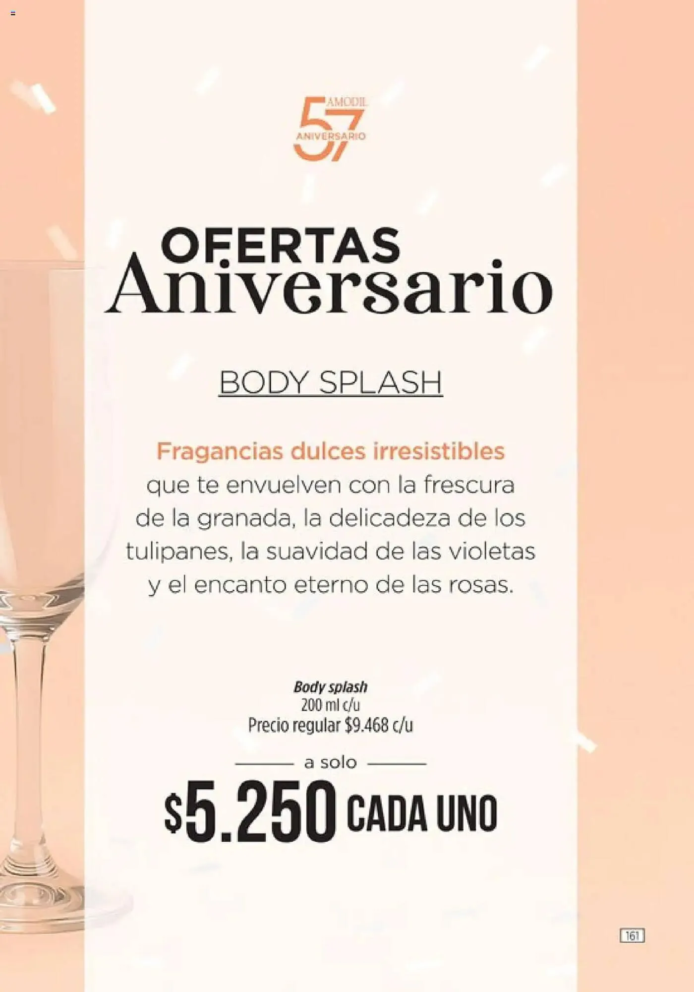 Ofertas de Catálogo Amodil 27 de mayo al 18 de junio 2025 - Página 161 del catálogo