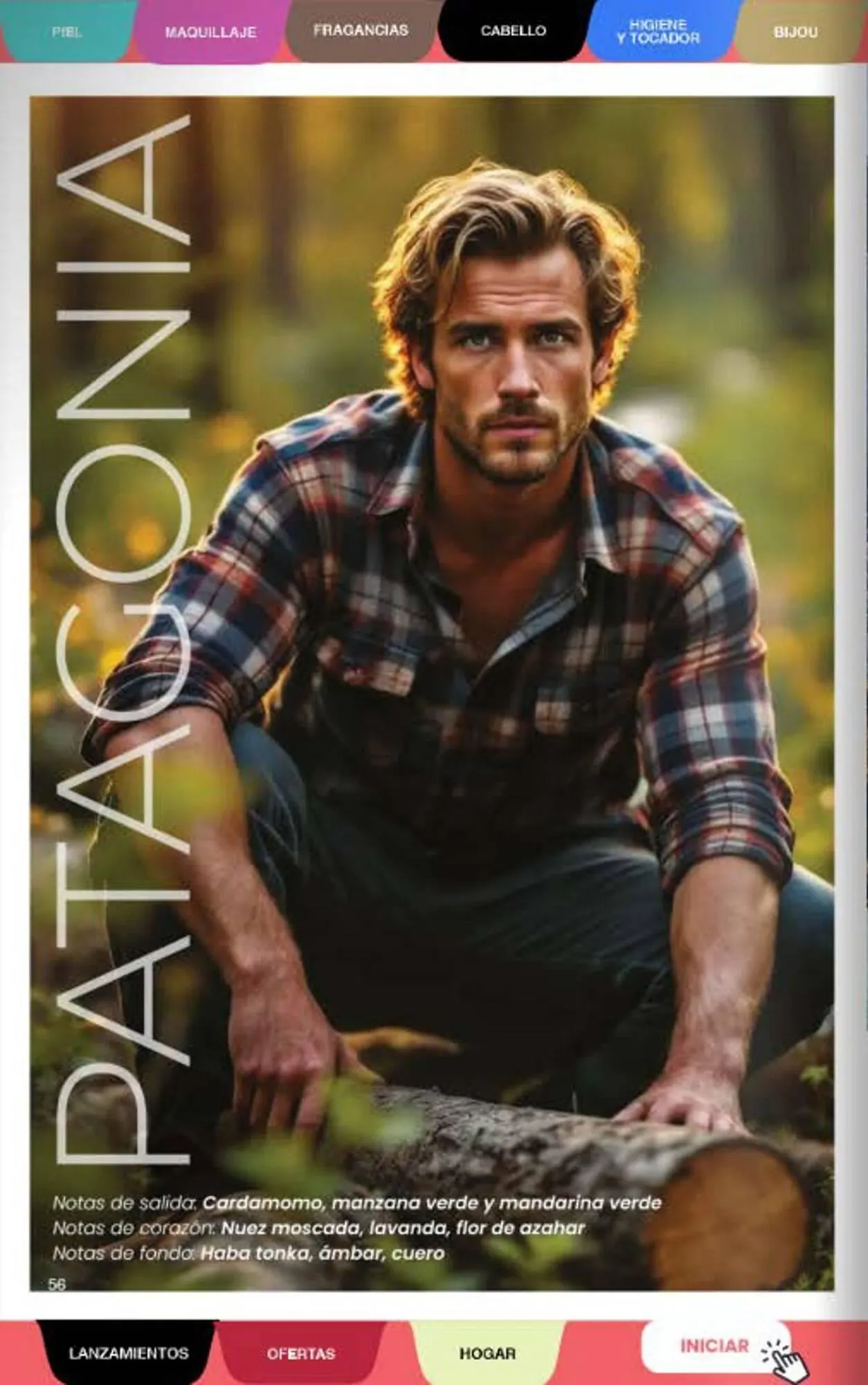 Ofertas de Folleto Gigot 5 de febrero al 28 de febrero 2026 - Página 72 del catálogo