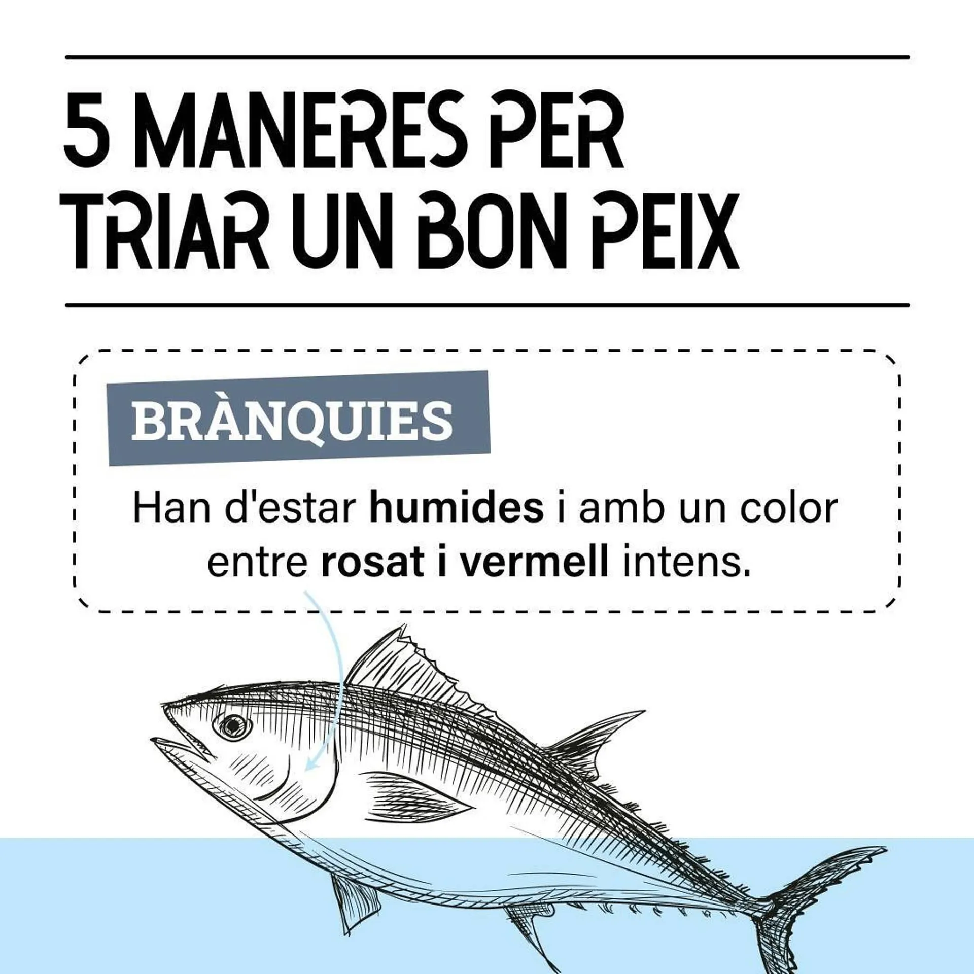 Ofertas de Catálogo Bonpreu 24 de octubre al 31 de octubre 2024 - Página 5 del catálogo