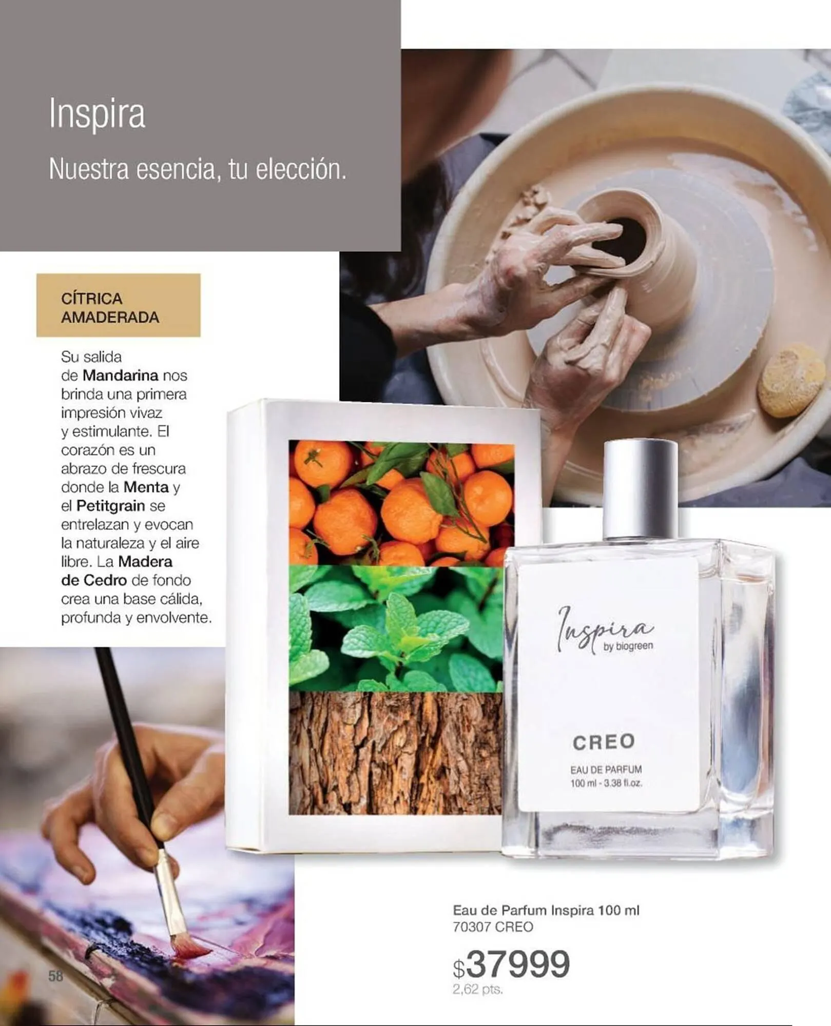 Ofertas de Catálogo Biogreen 15 de mayo al 31 de mayo 2025 - Página 60 del catálogo