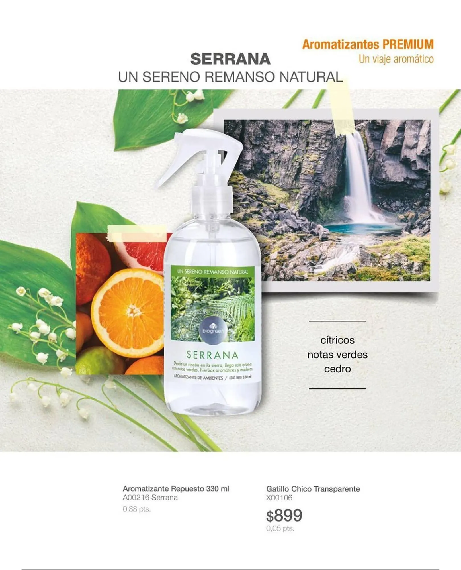 Ofertas de Catálogo Biogreen 16 de febrero al 1 de marzo 2026 - Página 51 del catálogo