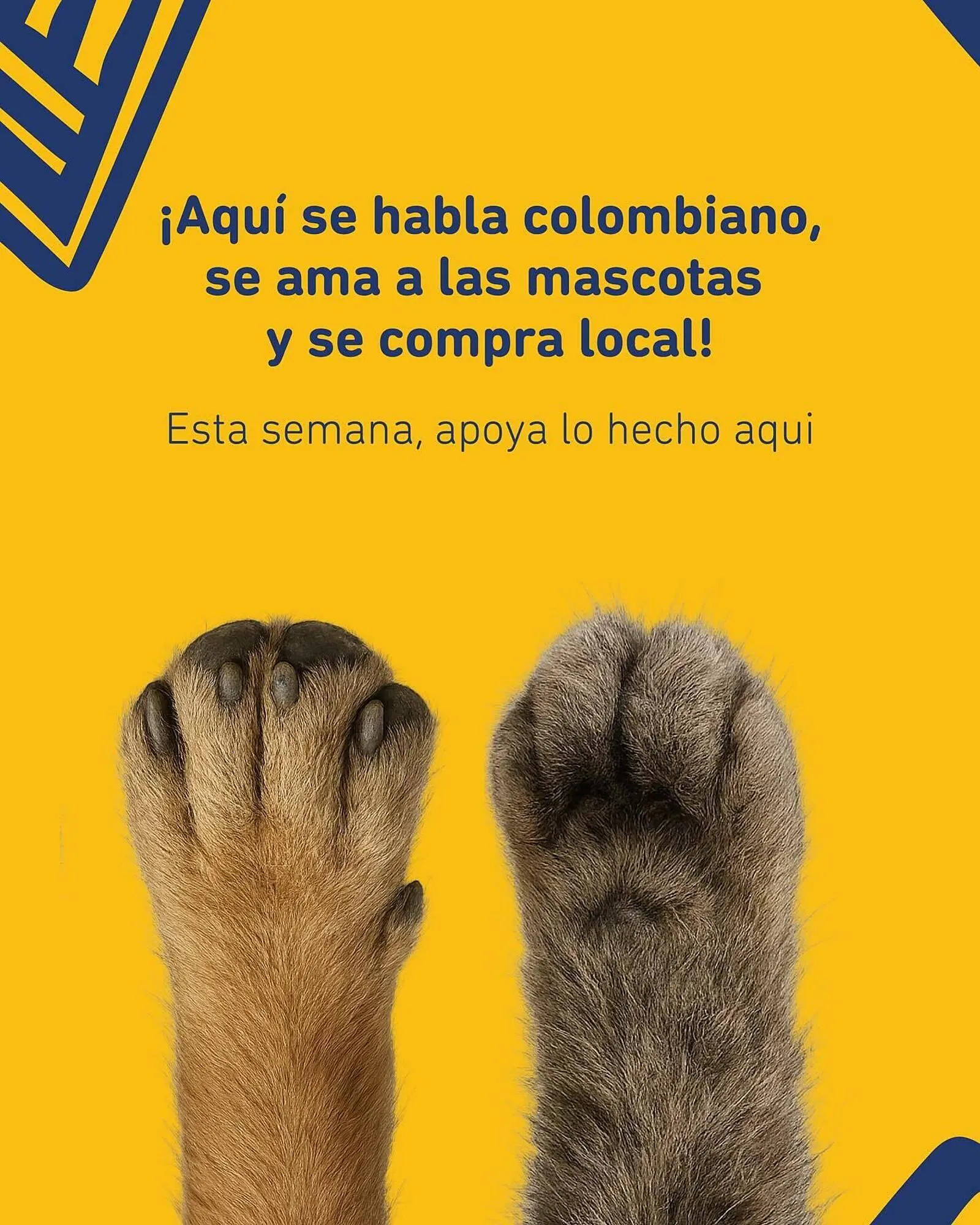 Ofertas de Catálogo Puppis 12 de julio al 20 de julio 2025 - Página 2 del catálogo