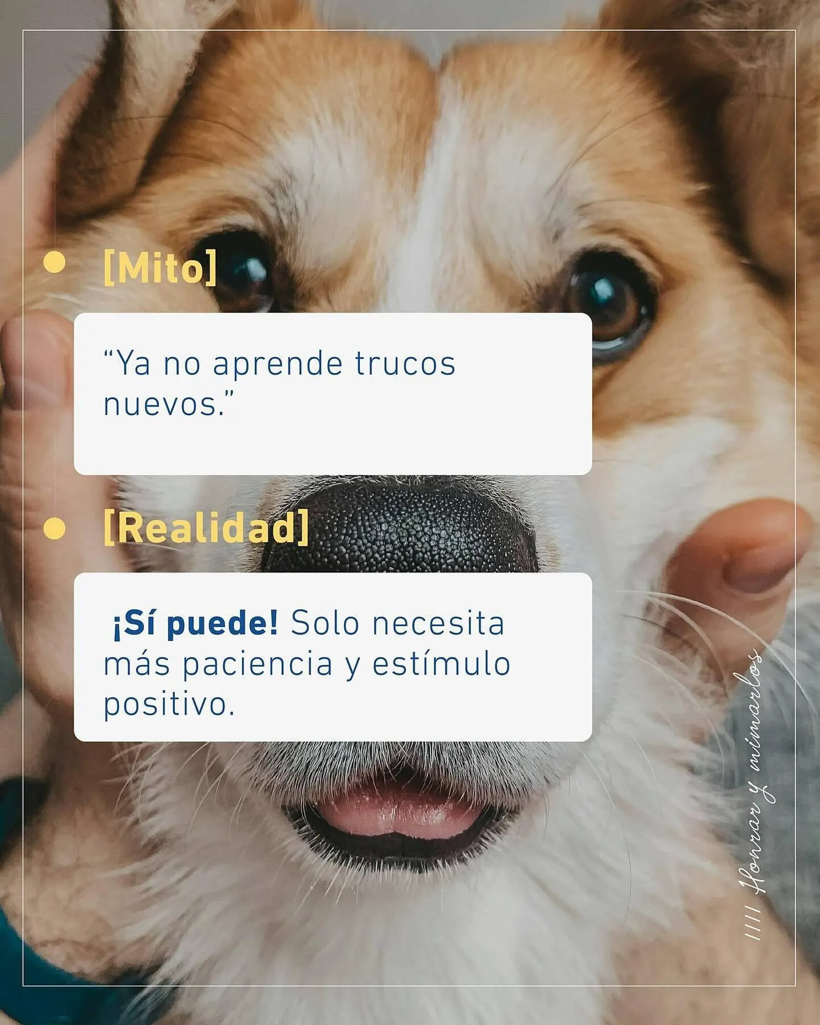 Ofertas de Catálogo Puppis 1 de agosto al 2 de agosto 2025 - Página 4 del catálogo