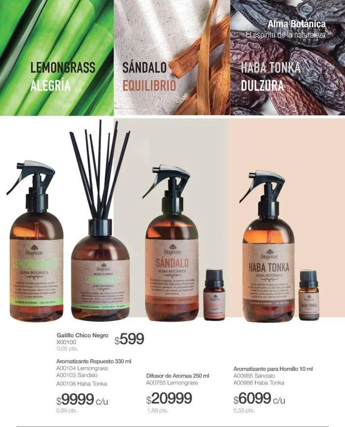Ofertas de Catálogo de productos Biogreen! 27 de agosto al 11 de septiembre 2024 - Página 21 del catálogo
