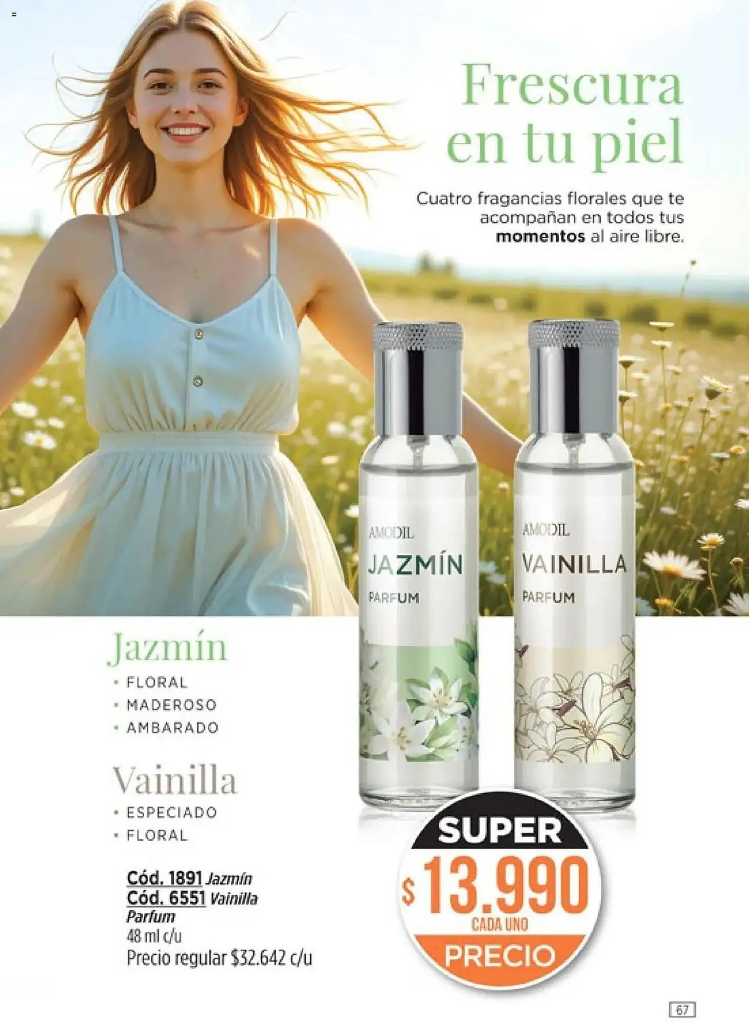 Ofertas de Catálogo Amodil 1 de octubre al 1 de noviembre 2025 - Página 67 del catálogo