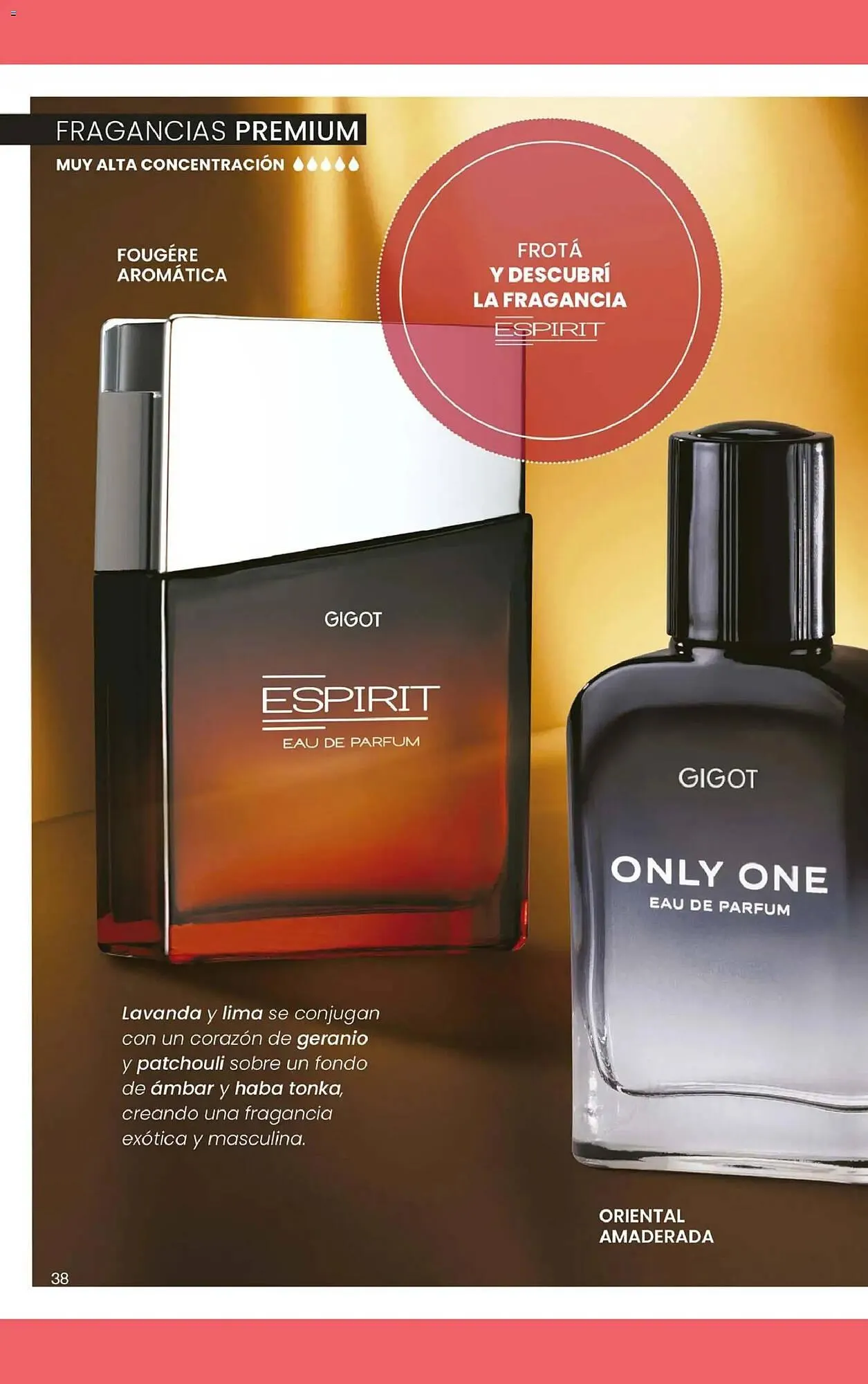 Ofertas de Folleto Gigot 5 de febrero al 28 de febrero 2026 - Página 32 del catálogo