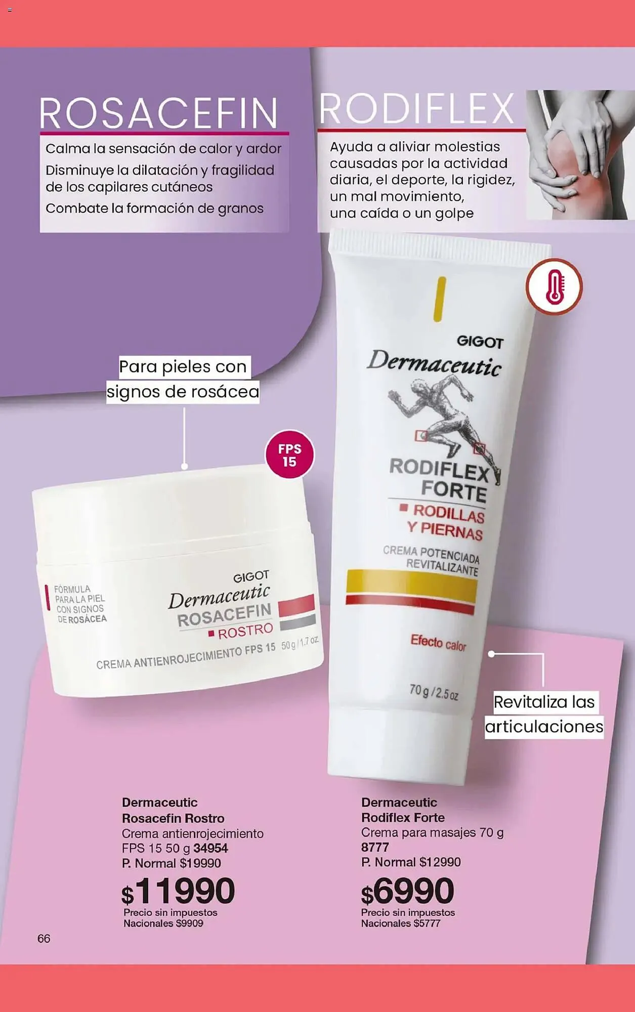 Ofertas de Folleto Gigot 5 de febrero al 28 de febrero 2026 - Página 78 del catálogo