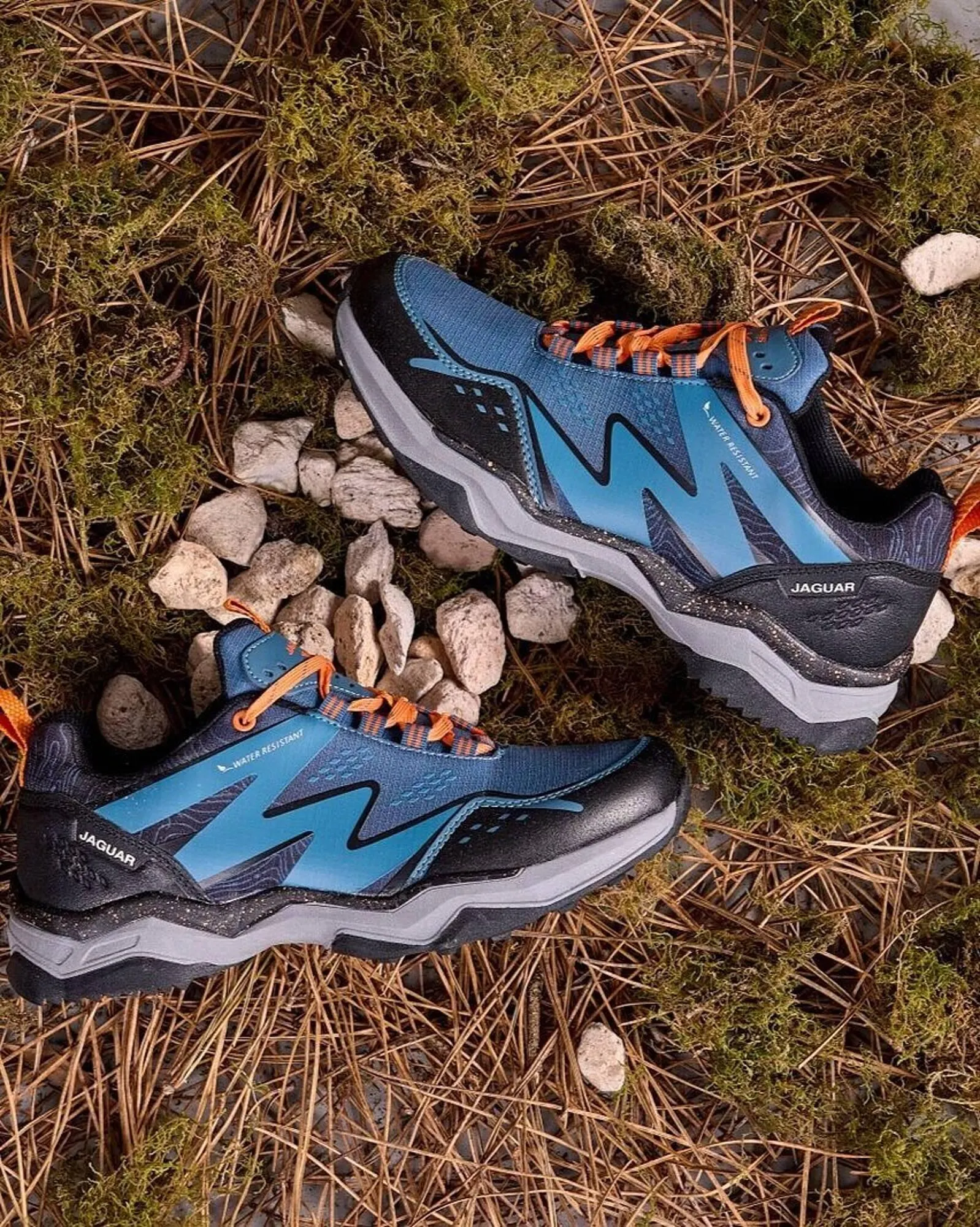 Ofertas de Catálogo Jaguar Shoes 15 de julio al 21 de julio 2025 - Página 1 del catálogo