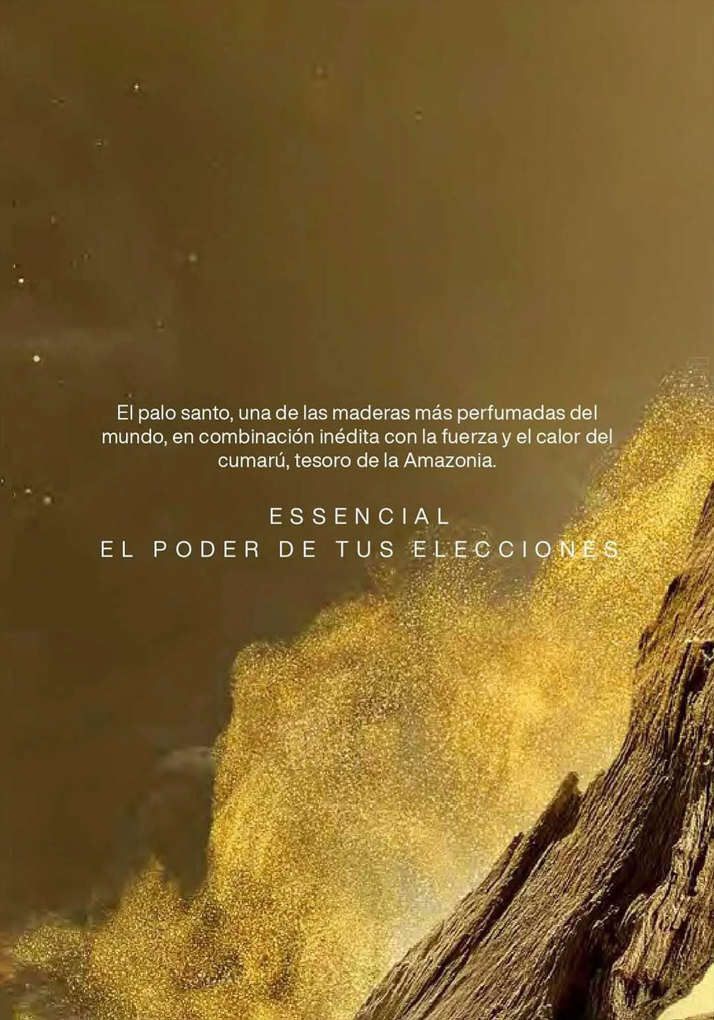 Ofertas de Catálogo Natura 5 de mayo al 31 de agosto 2023 - Página 2 del catálogo