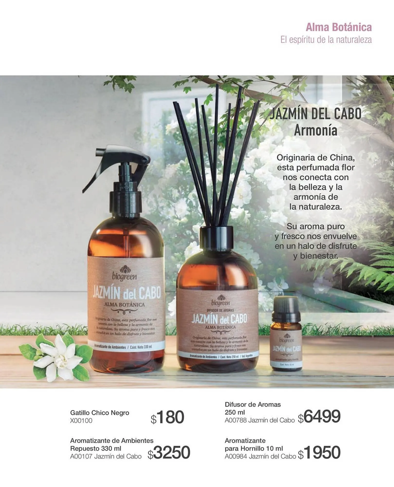 Ofertas de Catálogo Biogreen 20 de octubre al 30 de noviembre 2023 - Página 31 del catálogo