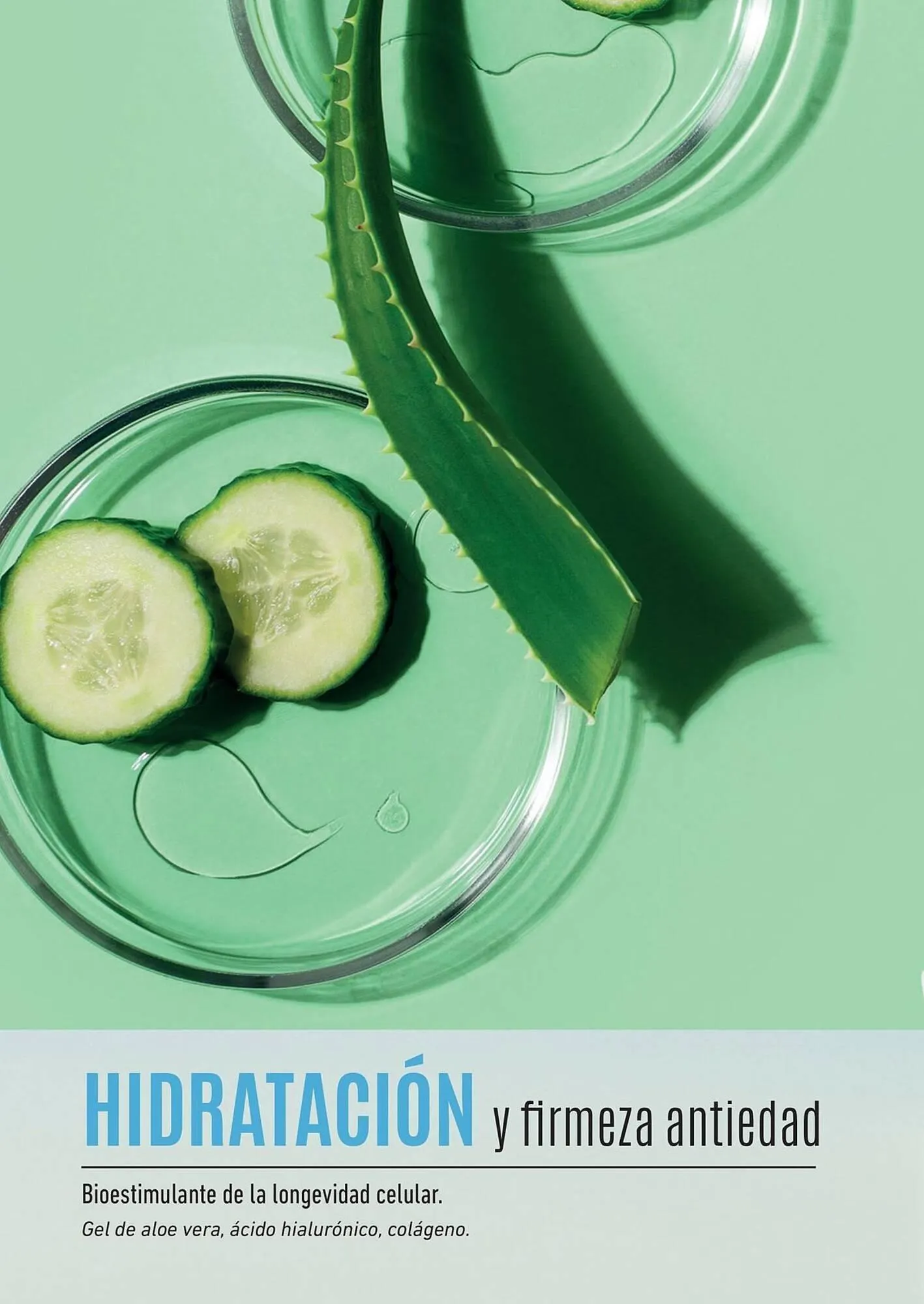 Ofertas de Catálogo Reino Cosmética 8 de mayo al 31 de mayo 2025 - Página 56 del catálogo