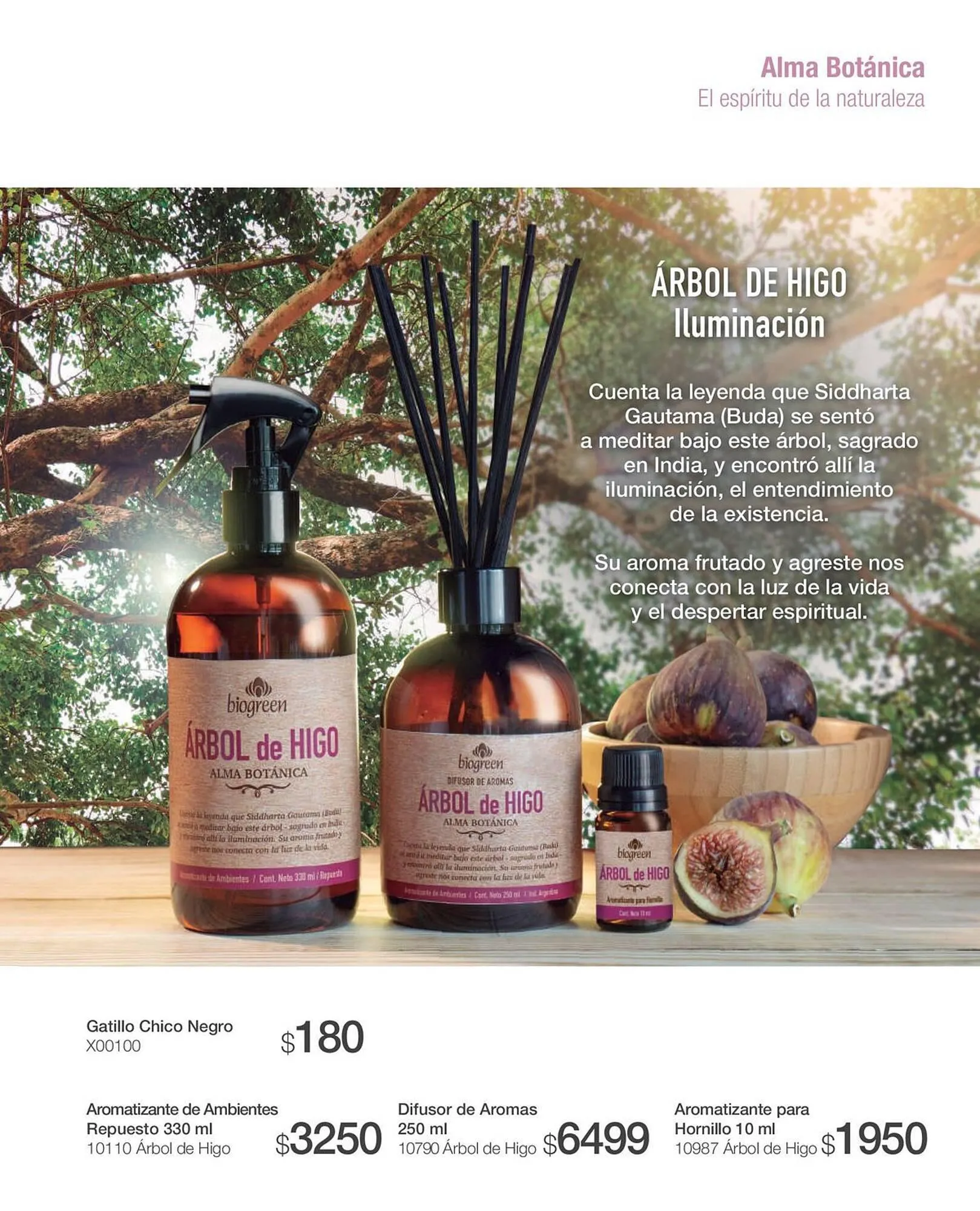 Ofertas de Catálogo Biogreen 20 de octubre al 30 de noviembre 2023 - Página 33 del catálogo