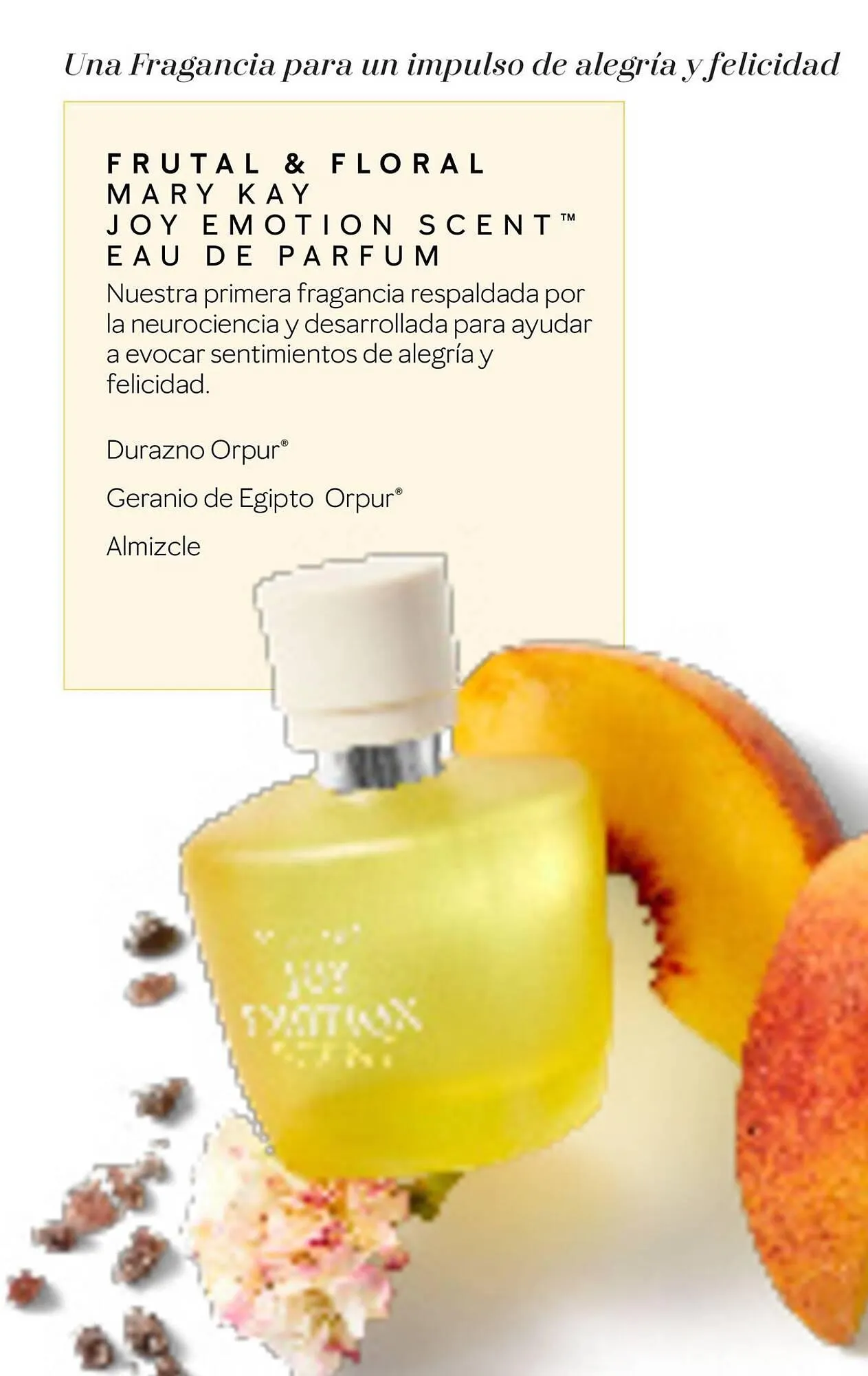 Ofertas de Catálogo Mary Kay 15 de abril al 30 de abril 2025 - Página 10 del catálogo