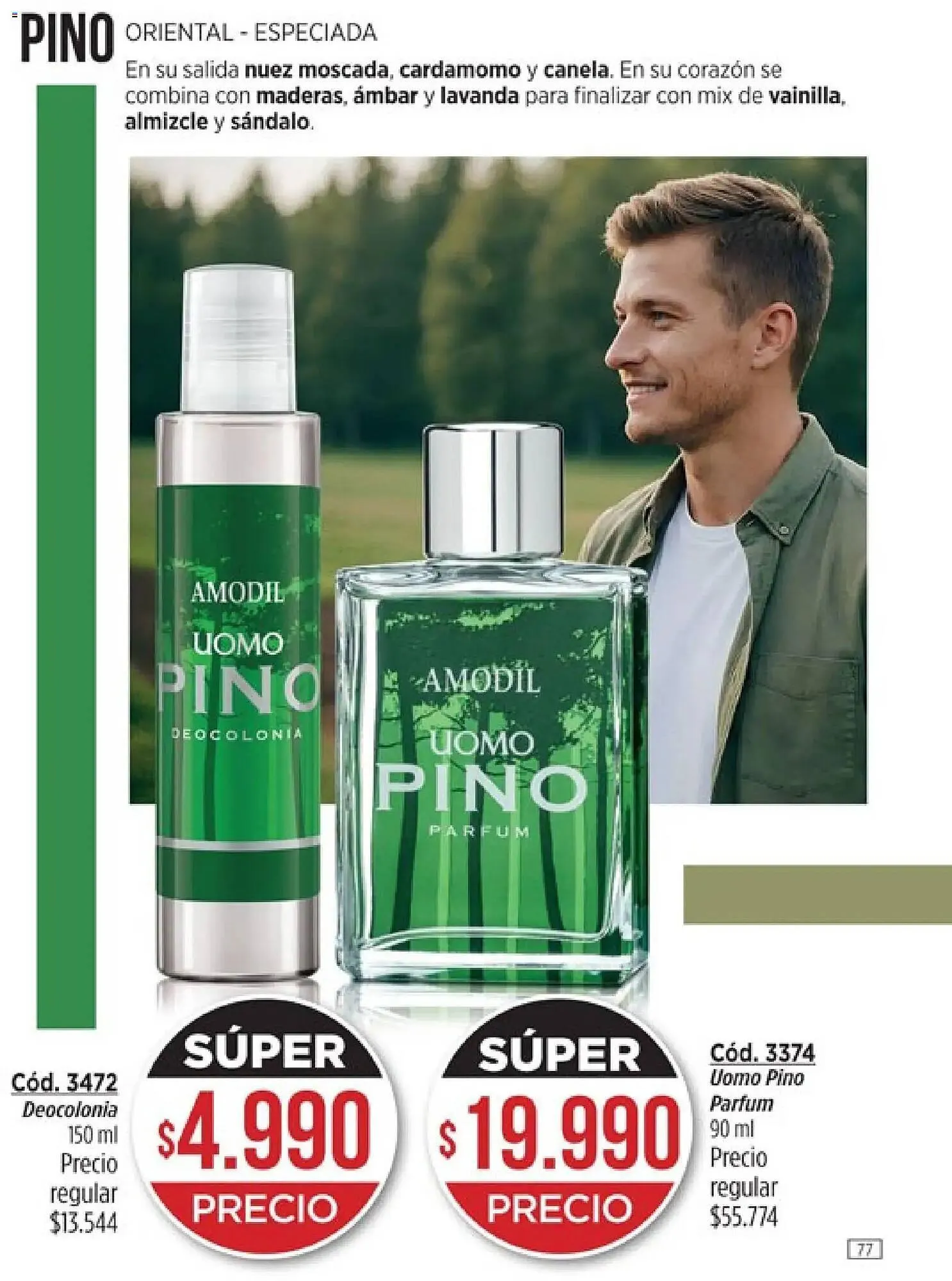 Ofertas de Catálogo Amodil 1 de marzo al 31 de marzo 2026 - Página 77 del catálogo