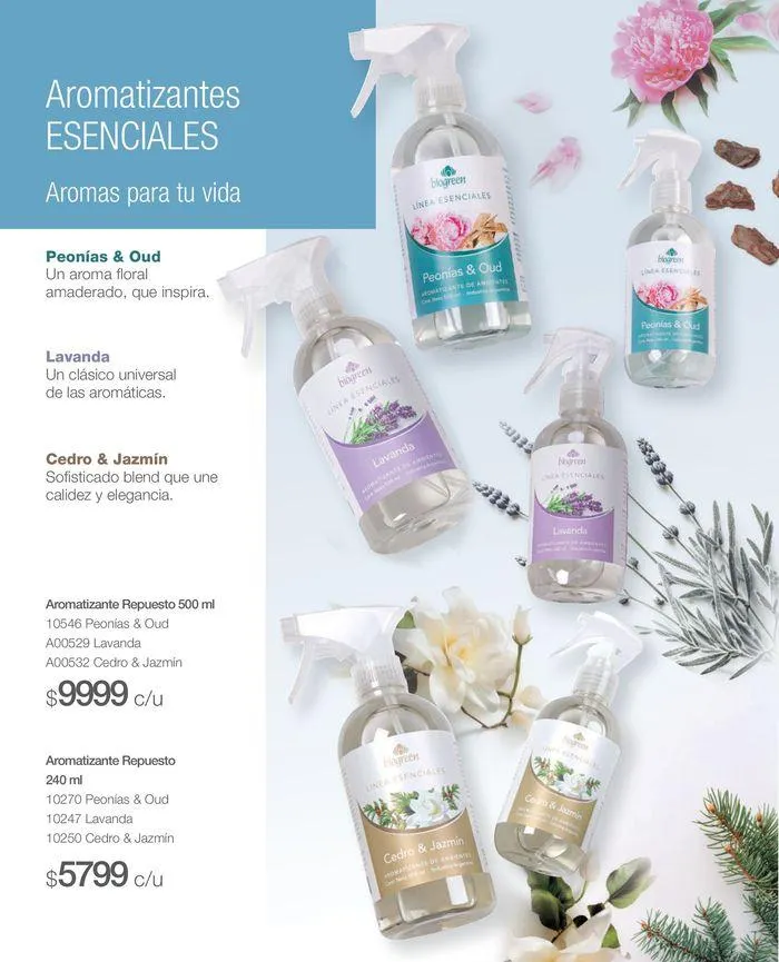 Ofertas de Catálogo Mayo - Junio Biogreen #3 12 de junio al 30 de junio 2024 - Página 16 del catálogo