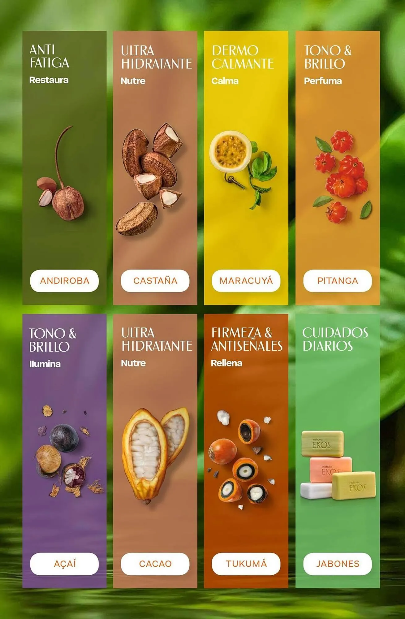Ofertas de Catálogo Natura 1 de julio al 31 de julio 2026 - Página 184 del catálogo