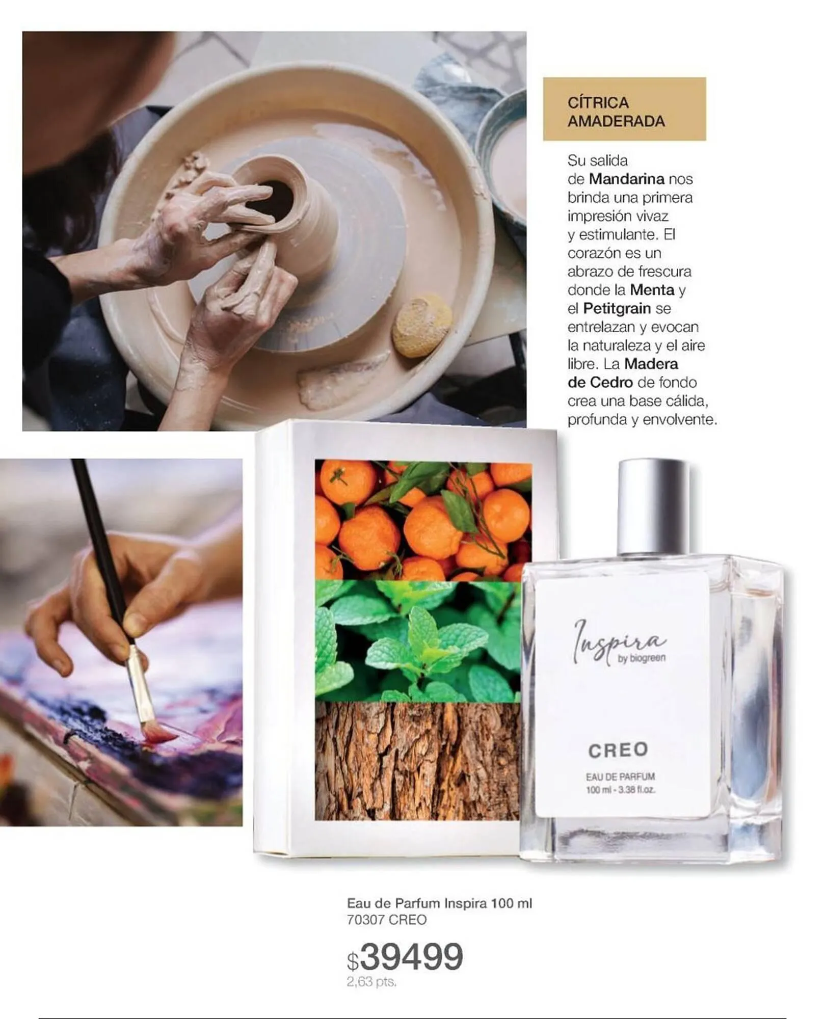 Ofertas de Catálogo Biogreen 28 de julio al 10 de agosto 2025 - Página 64 del catálogo