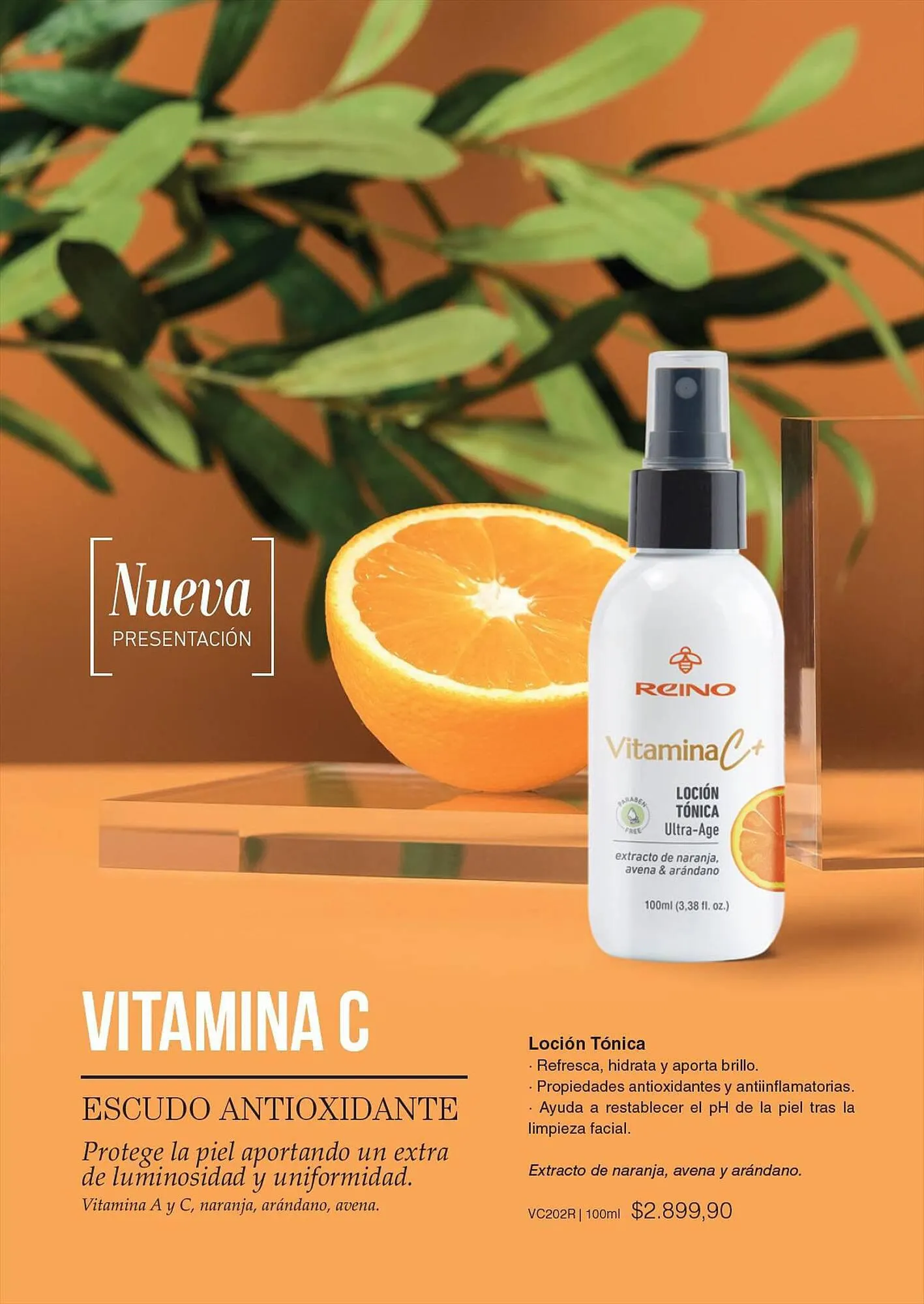 Ofertas de Catálogo Reino Cosmética 28 de julio al 31 de julio 2023 - Página 68 del catálogo