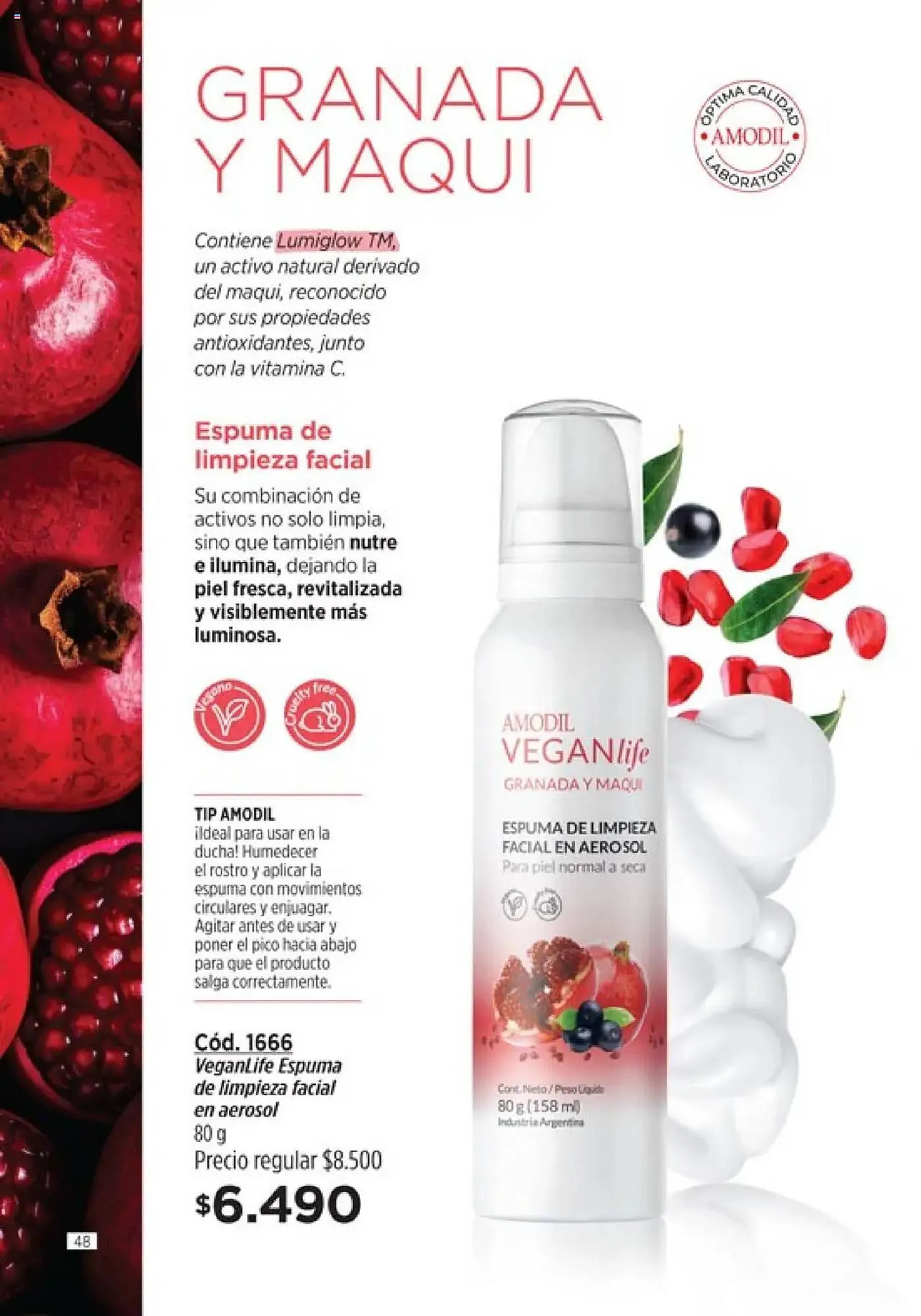 Ofertas de Catálogo Amodil 3 de mayo al 18 de mayo 2025 - Página 48 del catálogo
