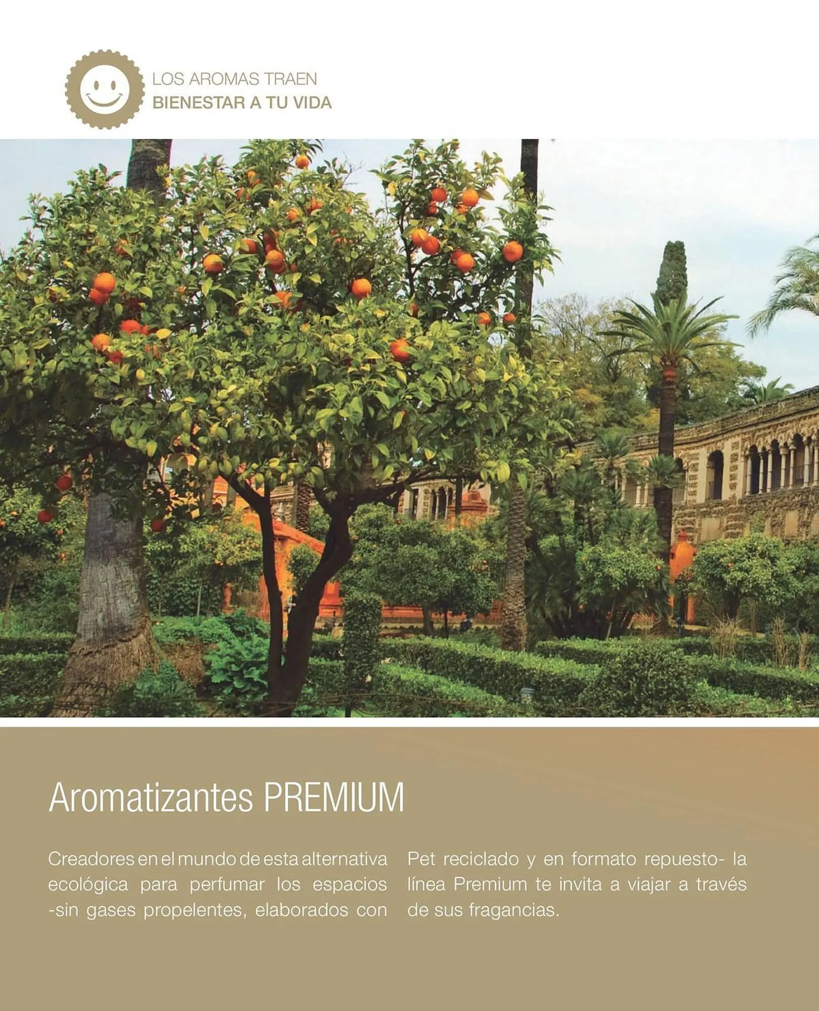 Ofertas de Catálogo Biogreen 20 de octubre al 30 de noviembre 2023 - Página 36 del catálogo