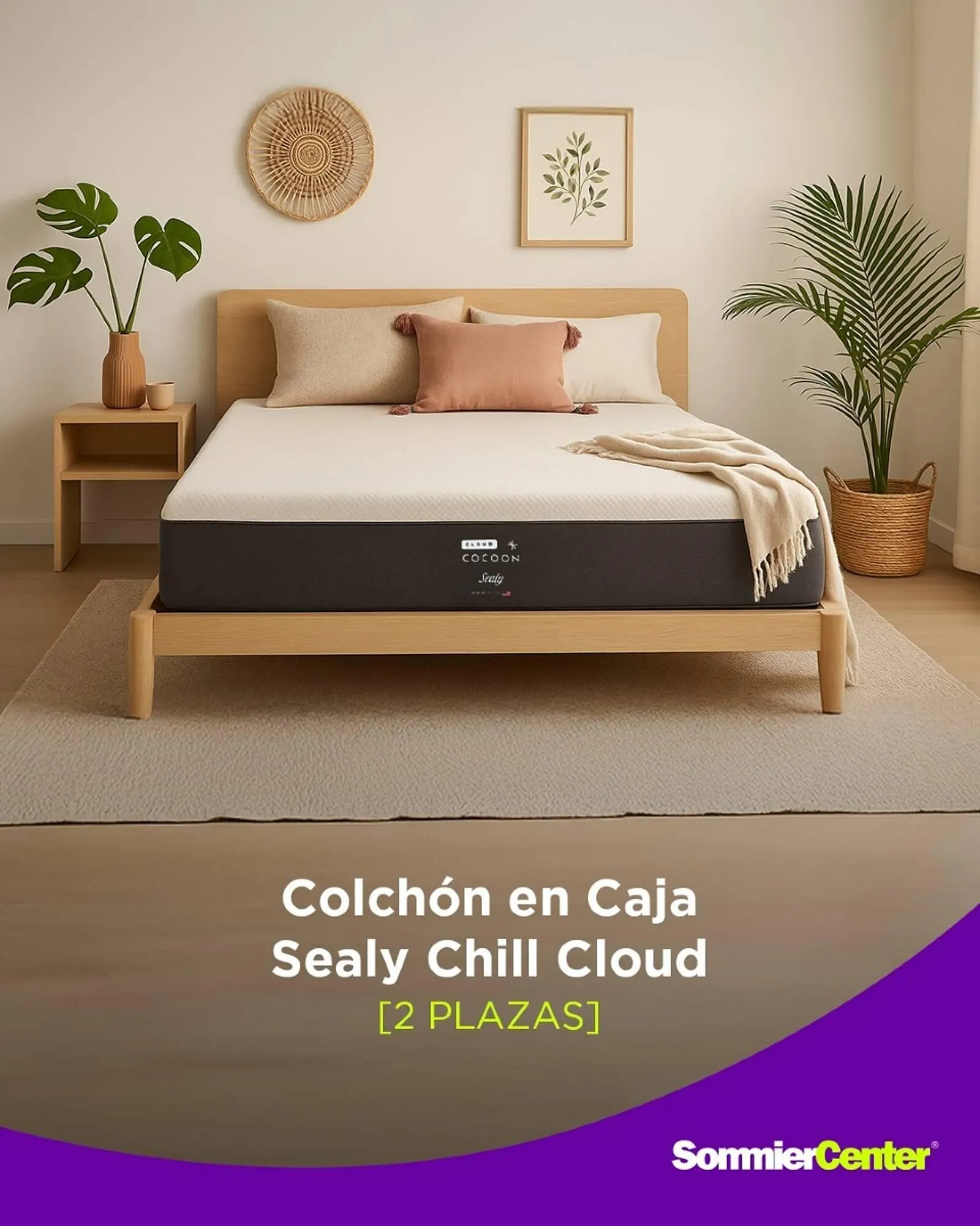 Ofertas de Catálogo Sommier Center 25 de julio al 31 de julio 2025 - Página 1 del catálogo