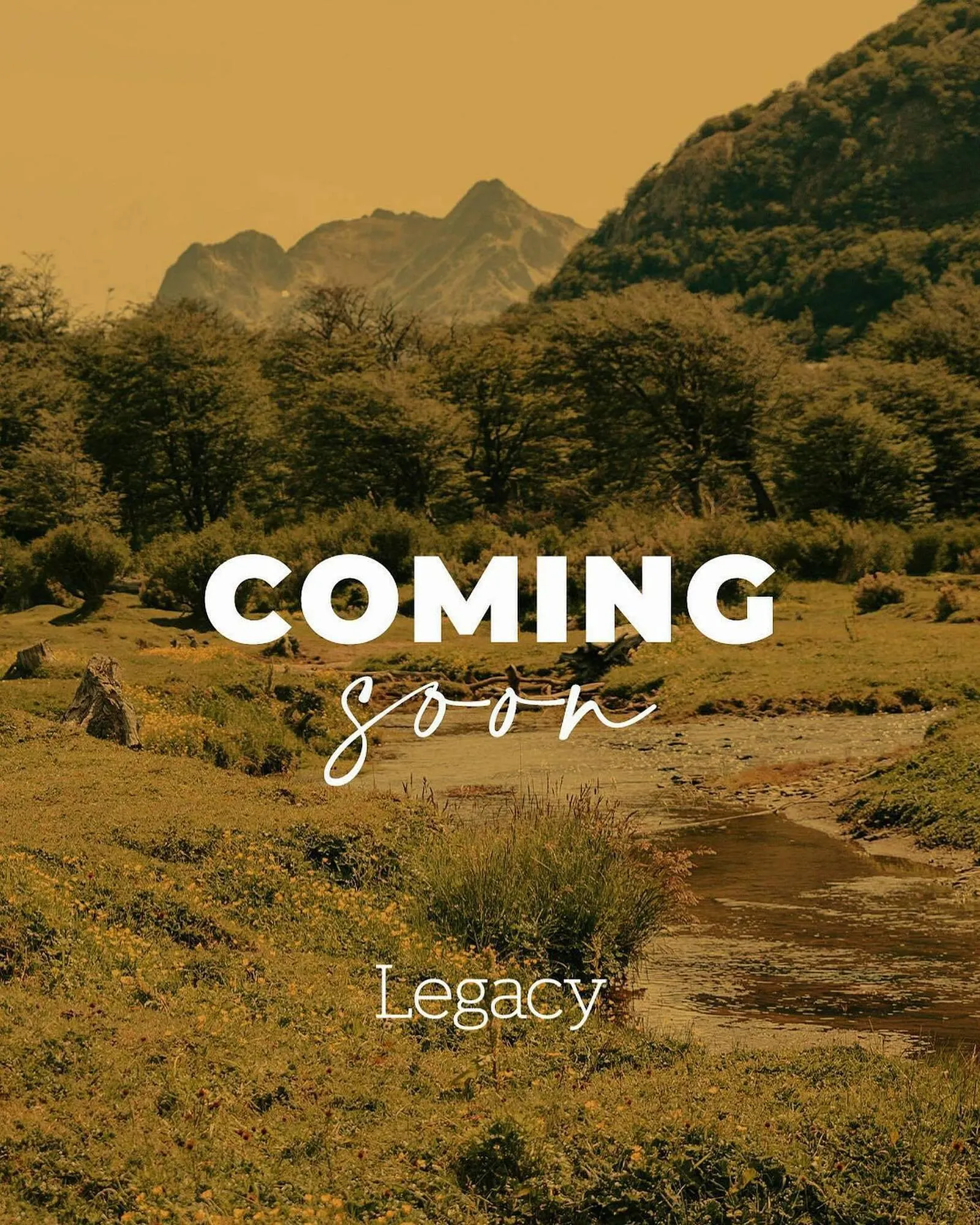 Catálogo Legacy - 1