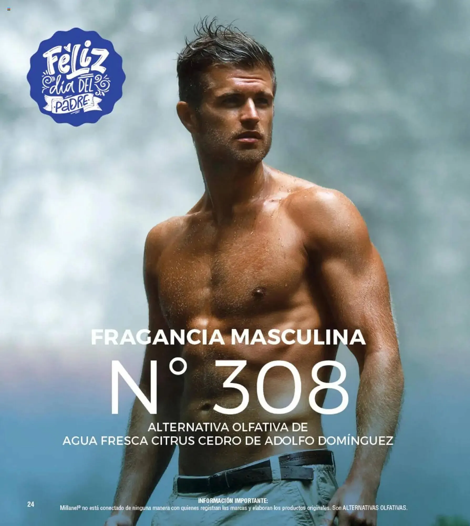 Ofertas de Catálogo Millanel Cosmética 26 de mayo al 23 de junio 2025 - Página 24 del catálogo