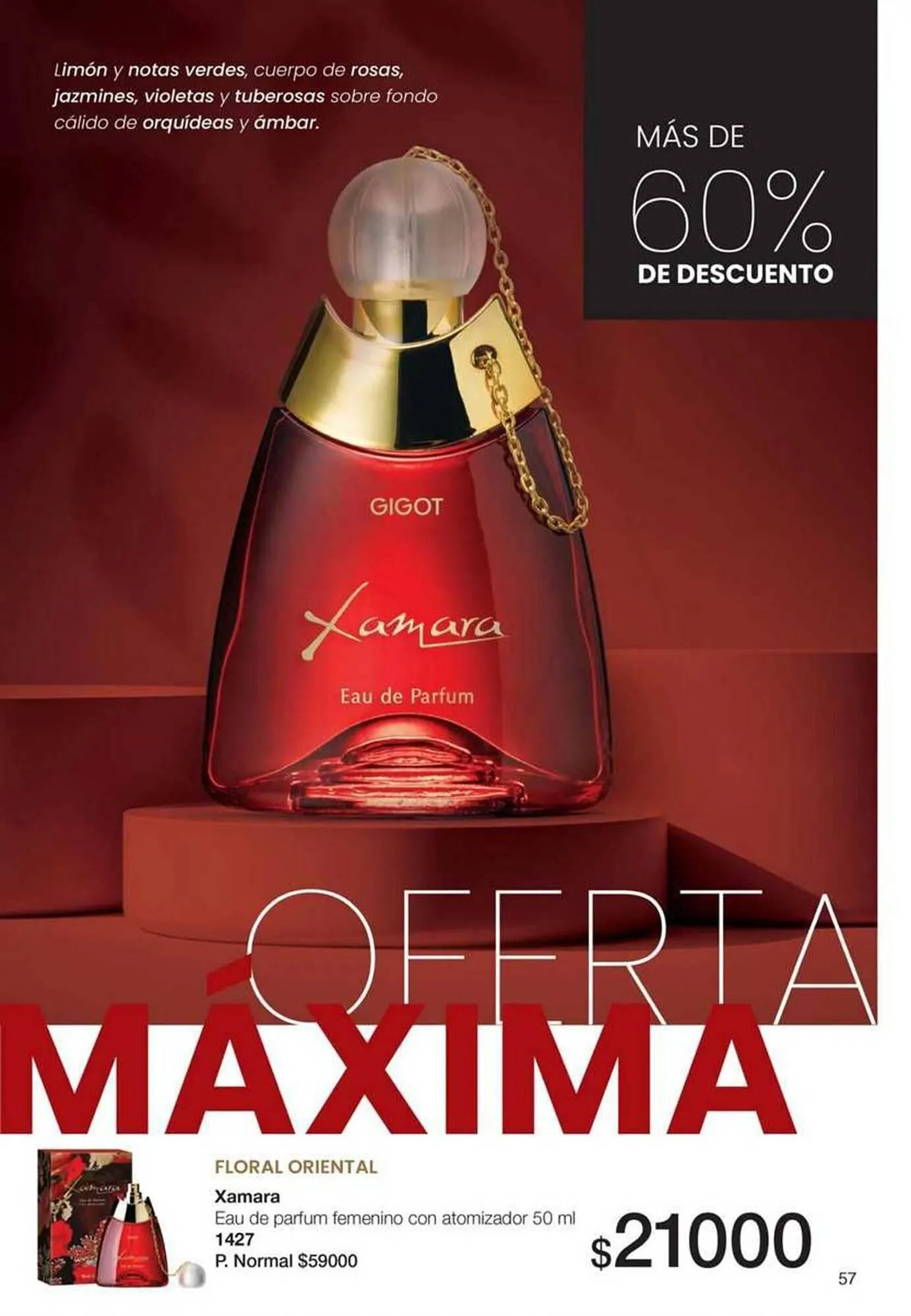 Ofertas de Catálogo Gigot 1 de noviembre al 30 de noviembre 2025 - Página 65 del catálogo