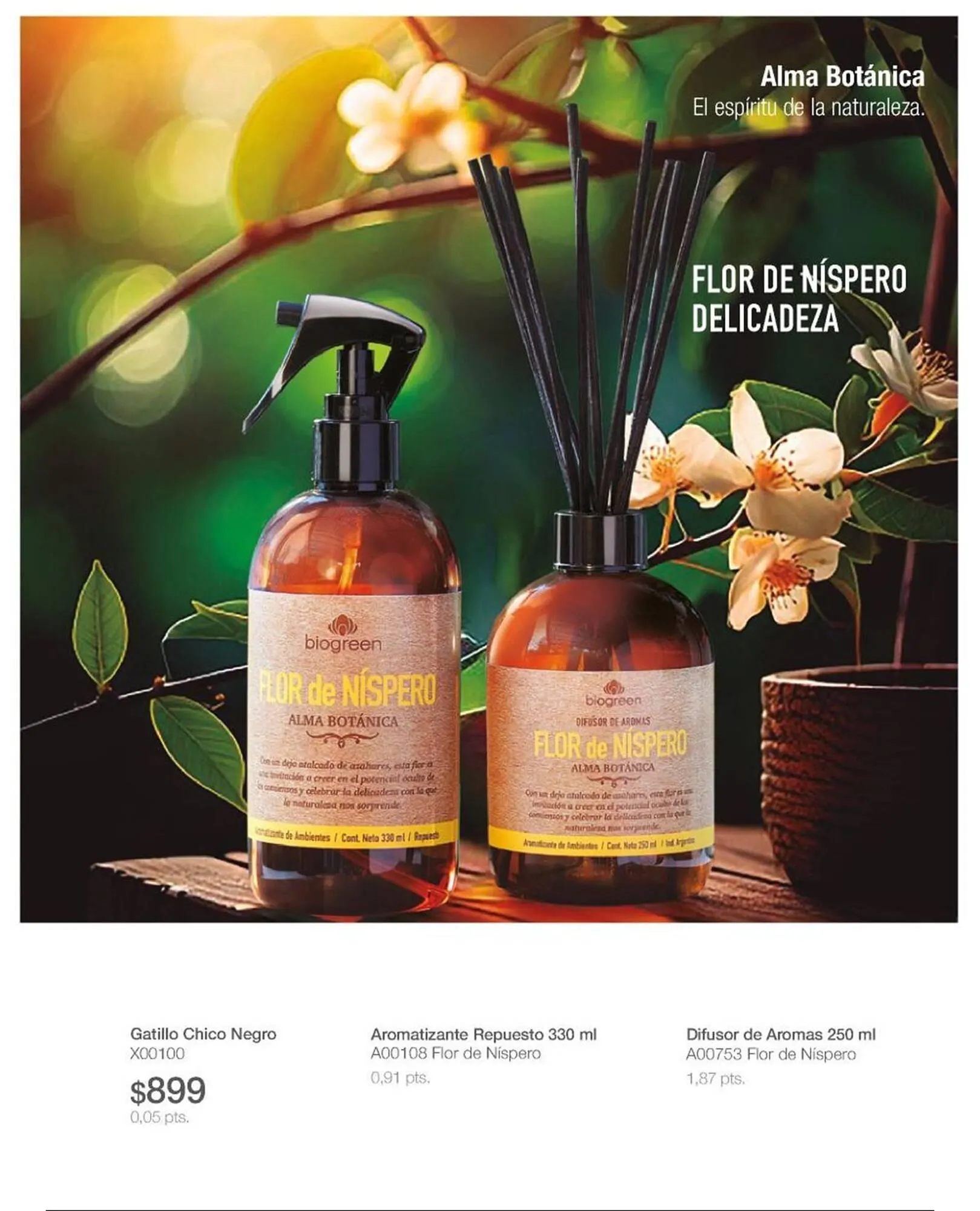 Ofertas de Catálogo Biogreen 16 de febrero al 1 de marzo 2026 - Página 35 del catálogo