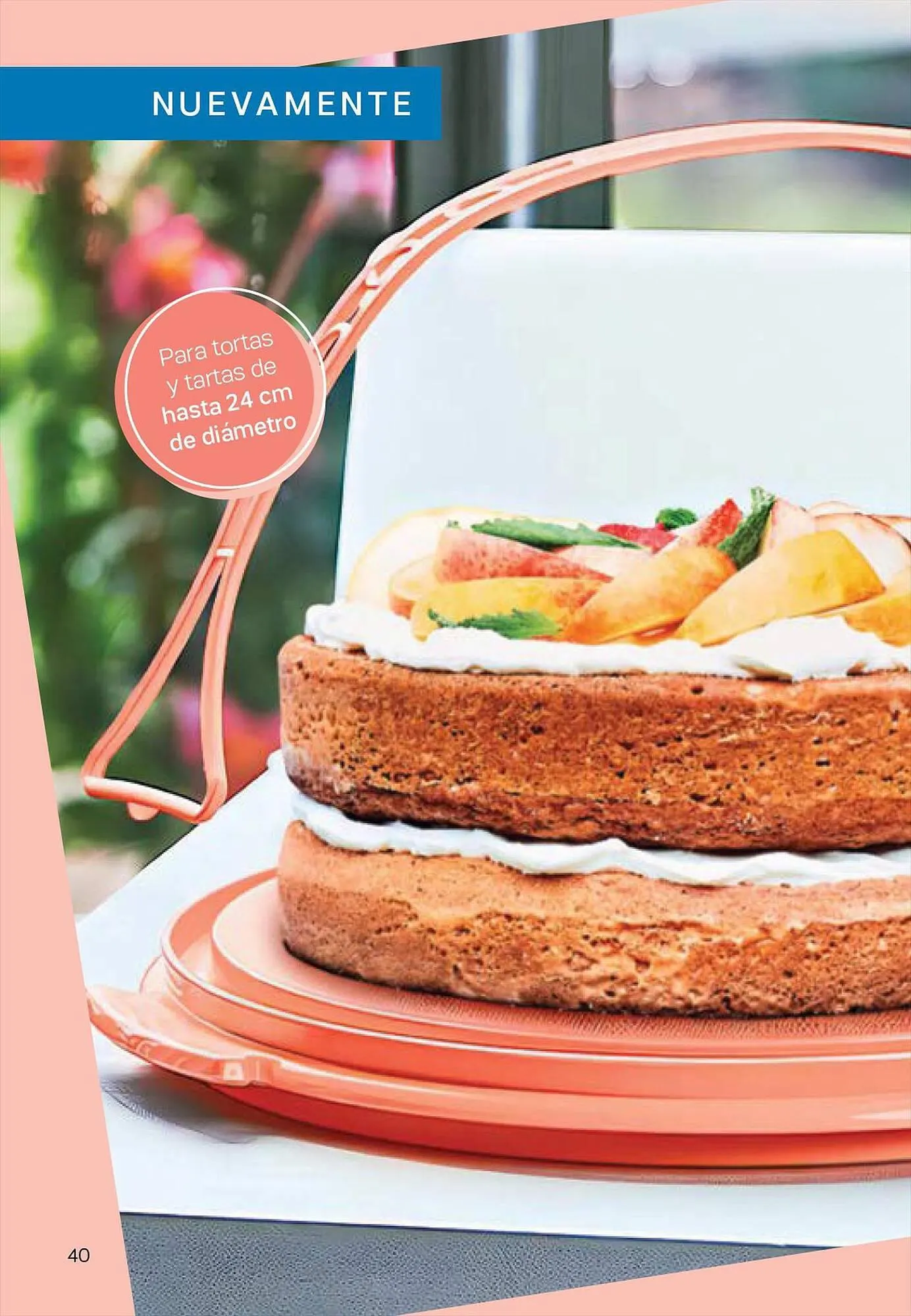 Ofertas de Catálogo Tupperware 4 de julio al 15 de agosto 2023 - Página 41 del catálogo