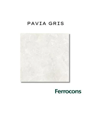 CAÑUELAS PAVIA GRIS BRILLANTE 50X50 X M2
