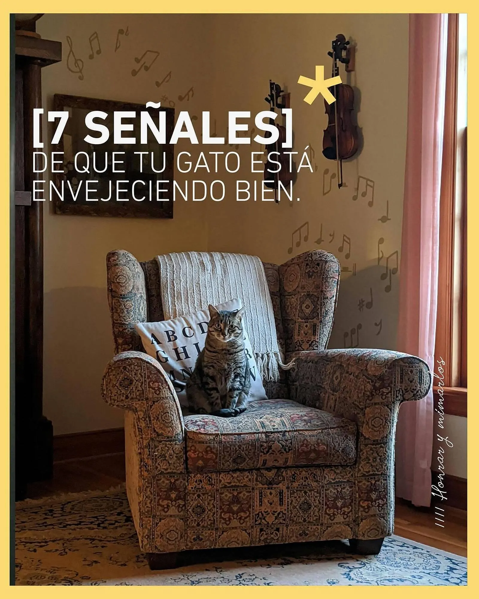 Catálogo Puppis - 1