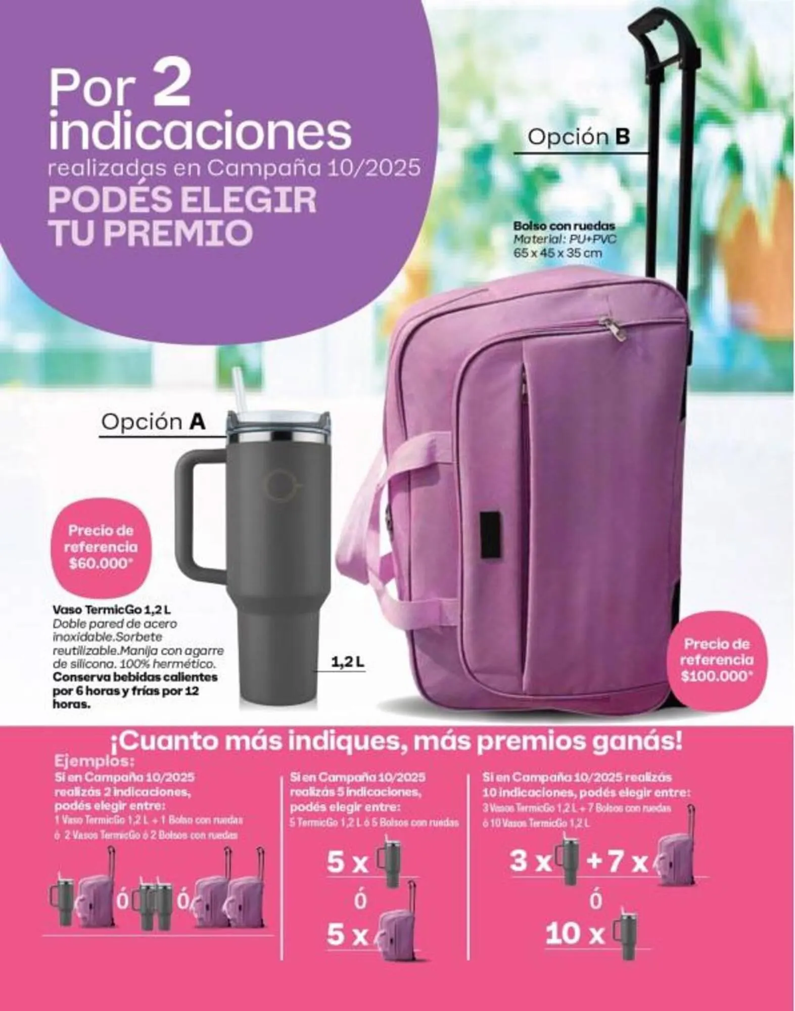Ofertas de Folleto Tupperware 1 de octubre al 31 de octubre 2025 - Página 3 del catálogo