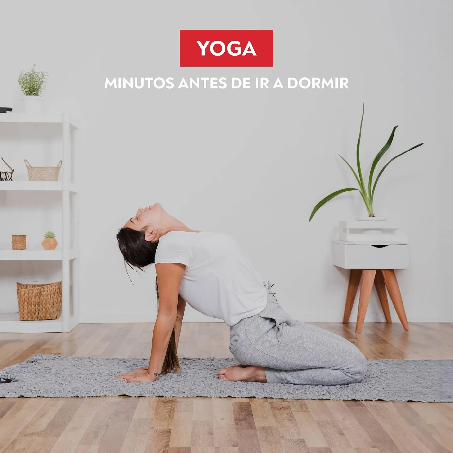 Ofertas de Catálogo Springwall 25 de julio al 31 de julio 2024 - Página 2 del catálogo