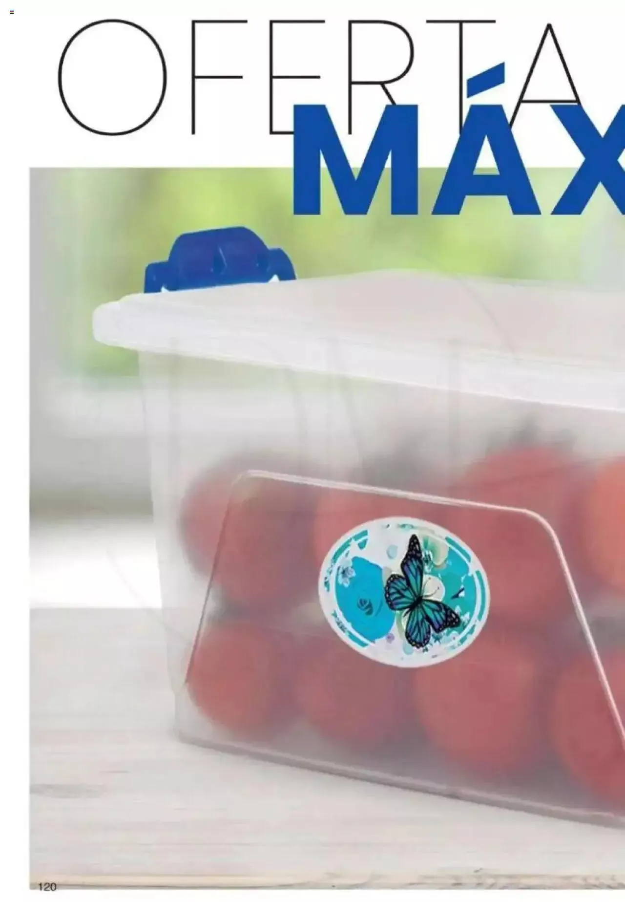 Ofertas de Gigot catálogo 2 de abril al 31 de diciembre 2024 - Página 120 del catálogo