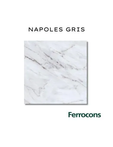 CAÑUELAS NAPOLES GRIS 50X50 M2