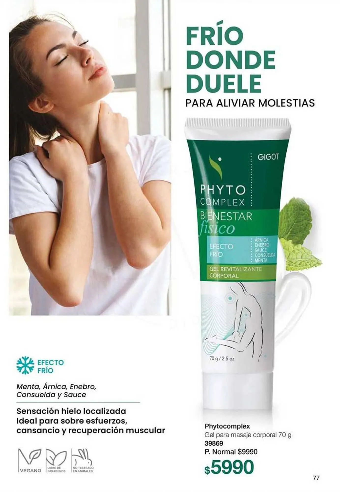 Ofertas de Catálogo Gigot 1 de noviembre al 30 de noviembre 2025 - Página 55 del catálogo