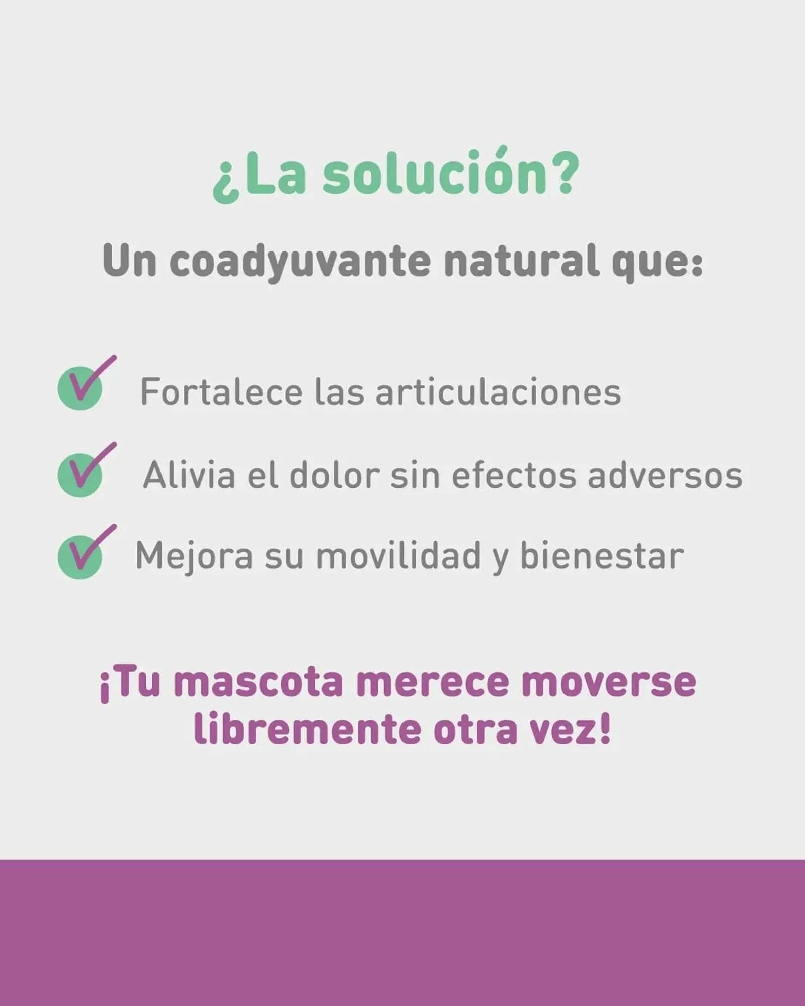 Ofertas de Catálogo Puppis 6 de mayo al 8 de mayo 2025 - Página 3 del catálogo