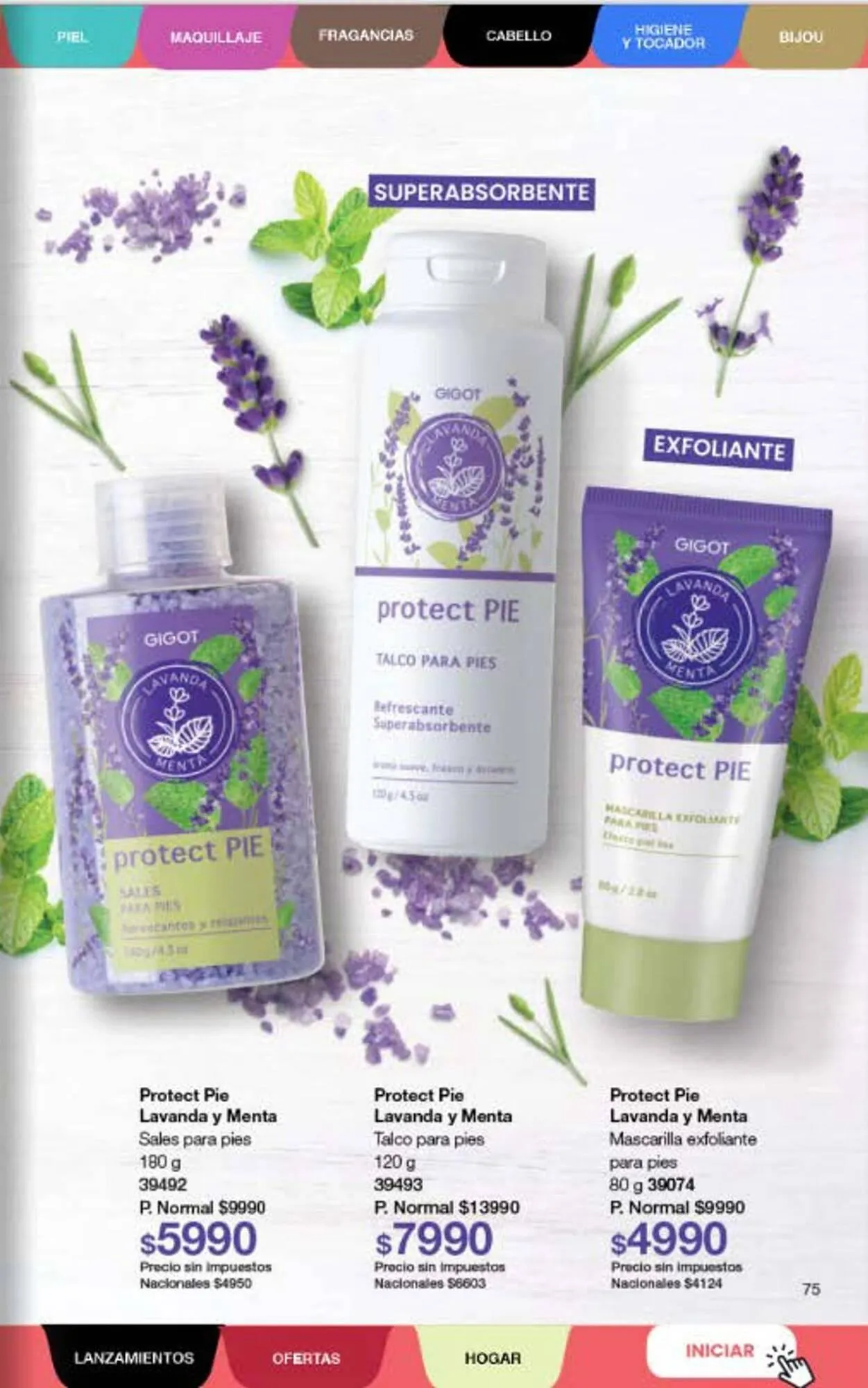 Ofertas de Folleto Gigot 5 de febrero al 28 de febrero 2026 - Página 95 del catálogo