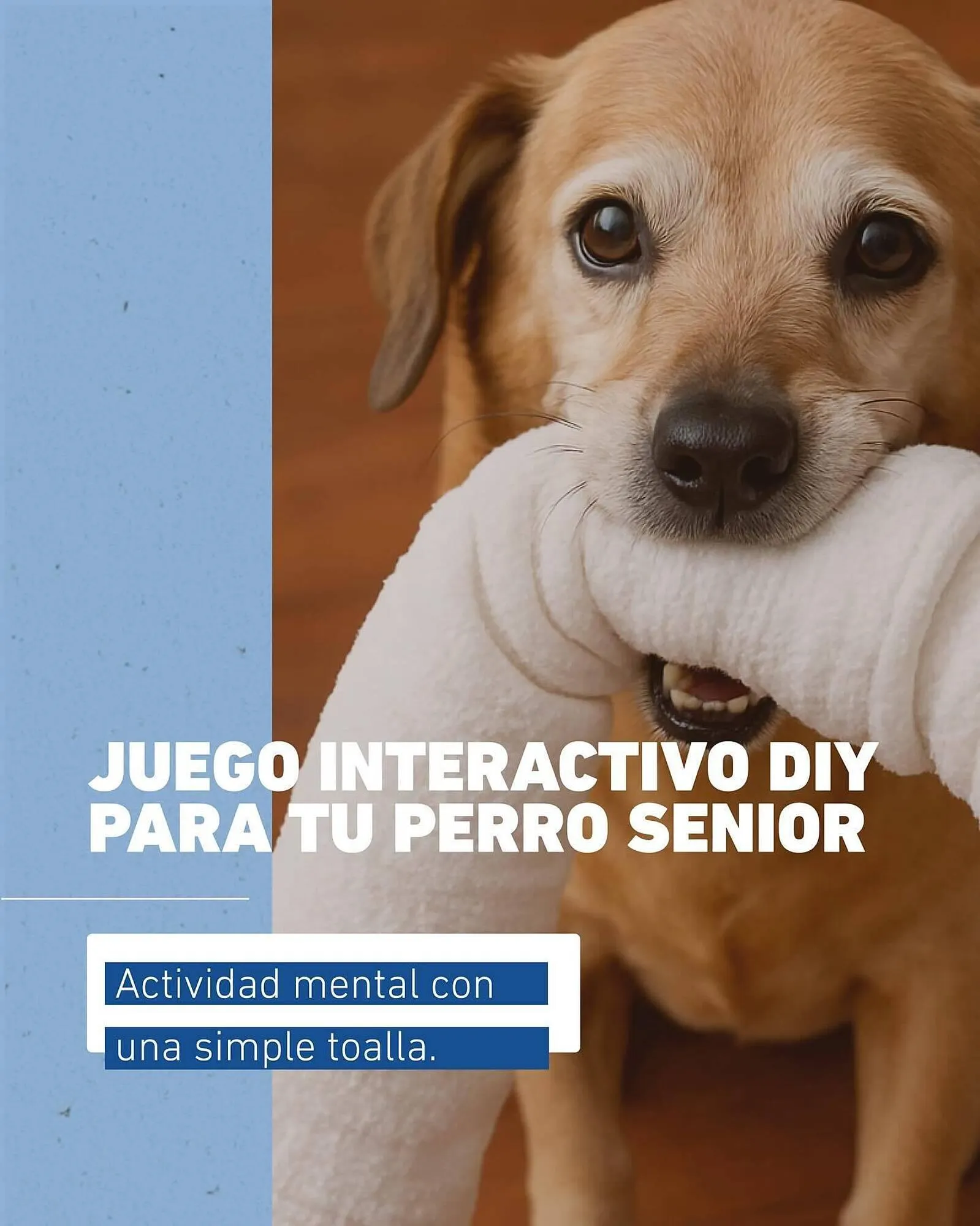 Catálogo Puppis - 1